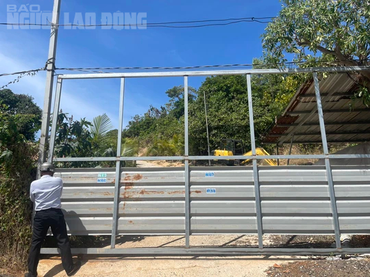 Vũng T&agrave;u đề nghị chuyển c&ocirc;ng an truy cứu vụ vi phạm đất đai quy m&ocirc; lớn - Ảnh 2.
