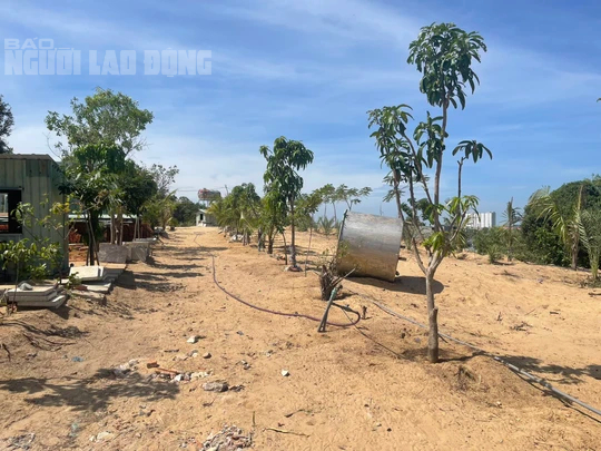 Vũng T&agrave;u đề nghị chuyển c&ocirc;ng an truy cứu vụ vi phạm đất đai quy m&ocirc; lớn - Ảnh 1.