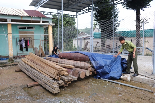 Gỗ lậu tr&ecirc;n đất trưởng ph&ograve;ng nội vụ ở Quảng Nam: Kiểm l&acirc;m huyện&hellip; bất ngờ - Ảnh 3.