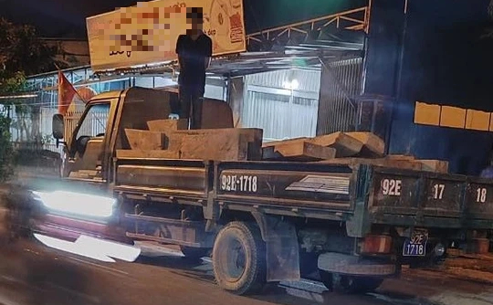 Gỗ lậu trên đất trưởng phòng nội vụ ở Quảng Nam: Kiểm lâm huyện… bất ngờ