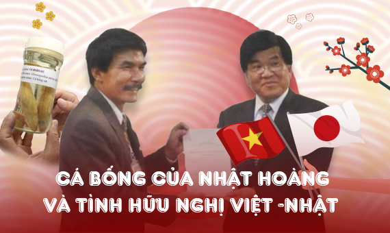 Cá bống của Nhật hoàng và tình hữu nghị Việt - Nhật