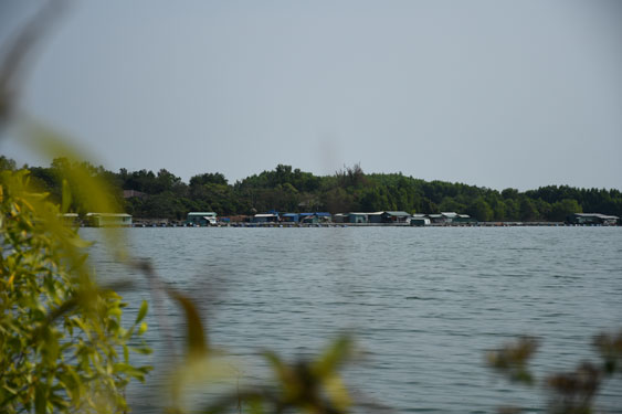 Trị An - Lặng nghe nước reo... - Ảnh 2.