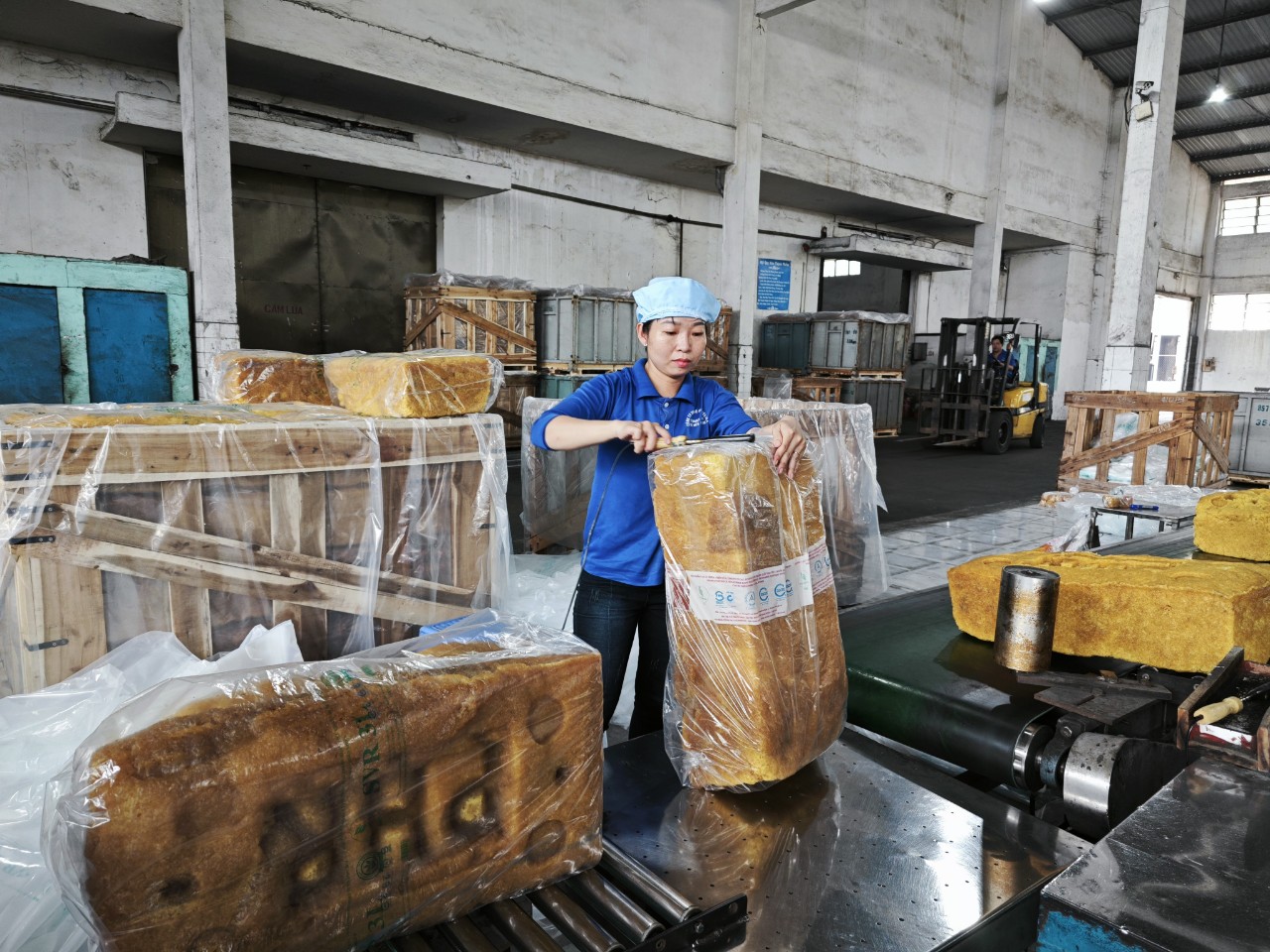 Kế hoạch lớn của ngành cao su - Ảnh 2.
