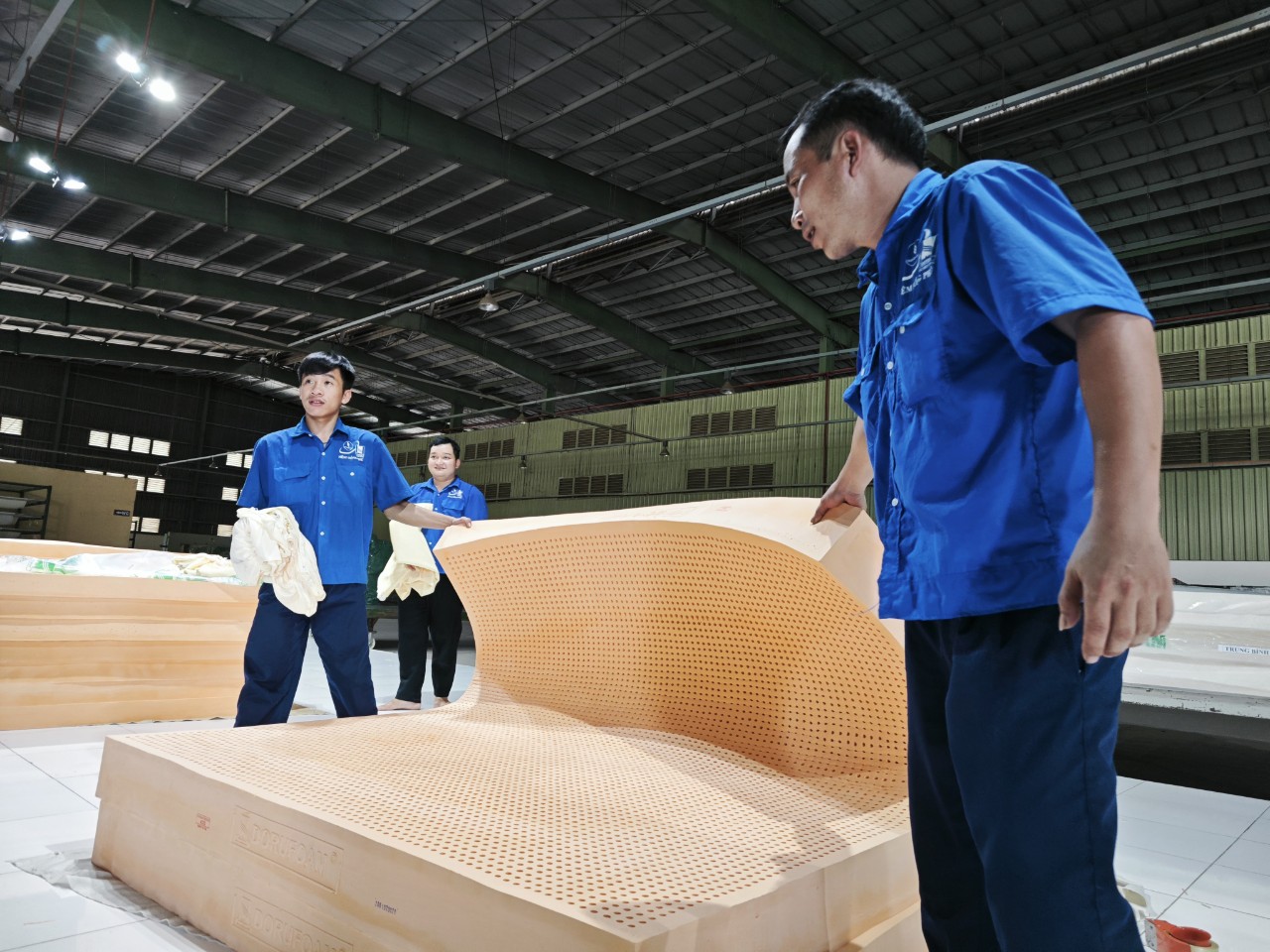 Kế hoạch lớn của ngành cao su - Ảnh 3.