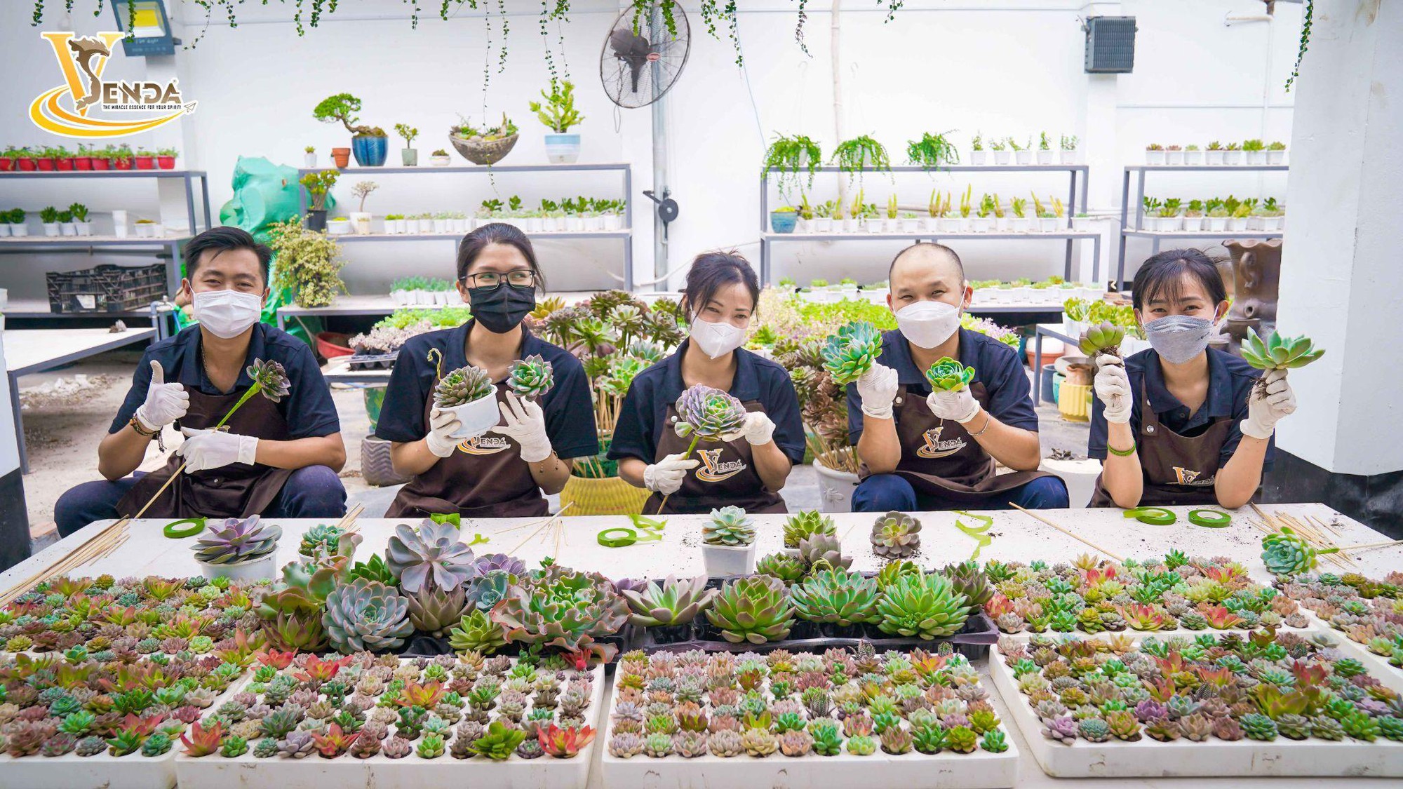 VSenda cùng Sĩ Thanh mang đến không gian lễ cưới ấn tượng cho Gin Tuấn Kiệt và Puka - Ảnh 5.