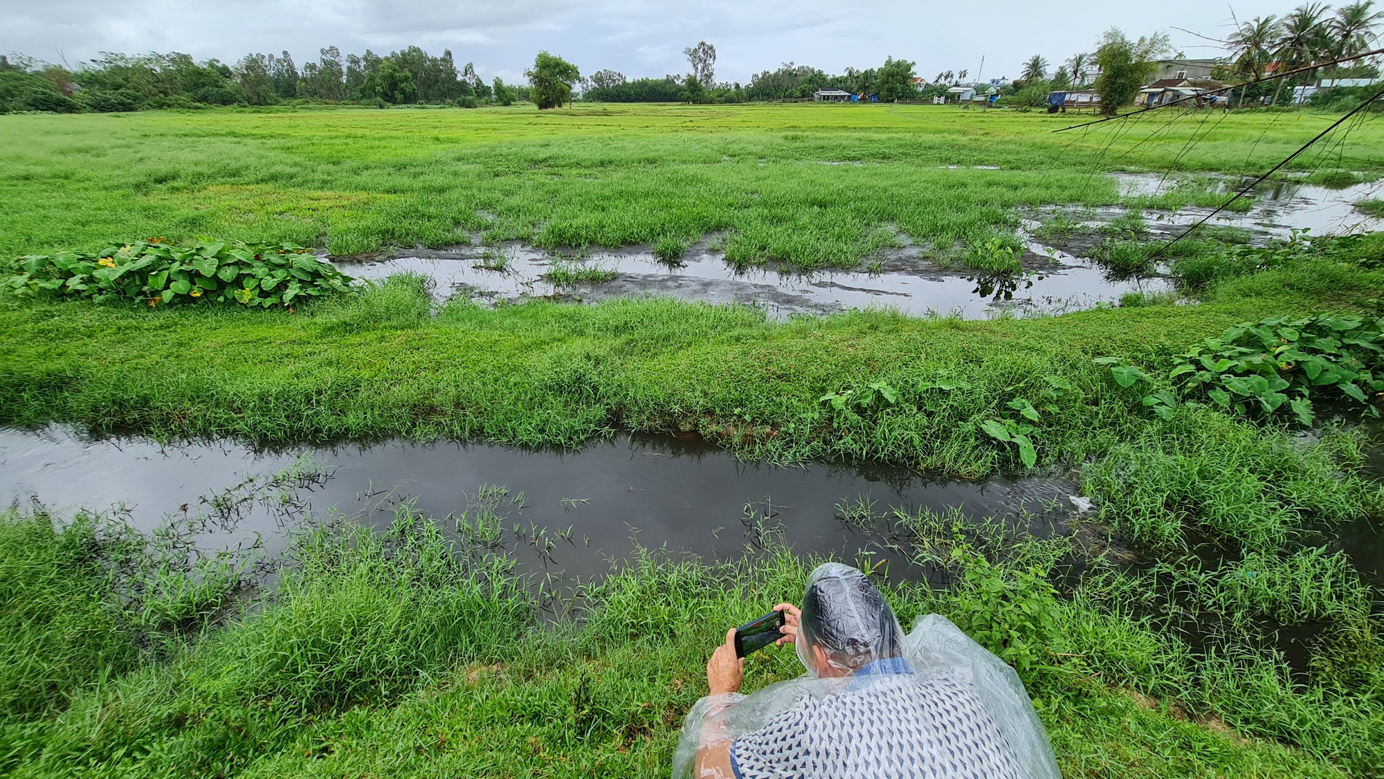 Nhận phản ánh loạt trại heo gây ô nhiễm, Bí thư xã ở Đà Nẵng phát ngôn sốc - Ảnh 7.