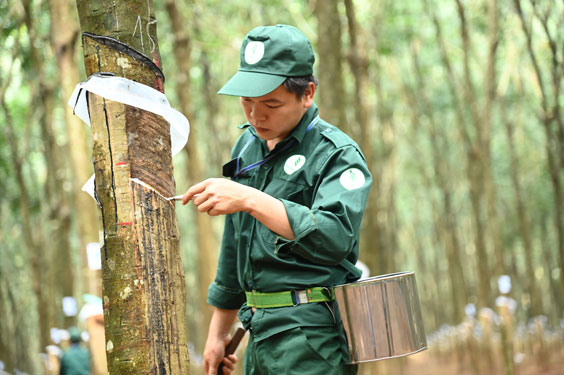 Đồng hành vượt khó