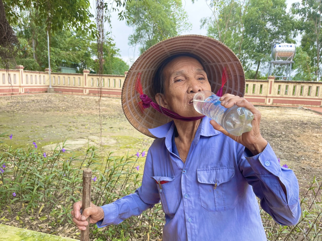 Bà lão 50 năm không ăn cơm vẫn… khỏe như thường- Ảnh 1.