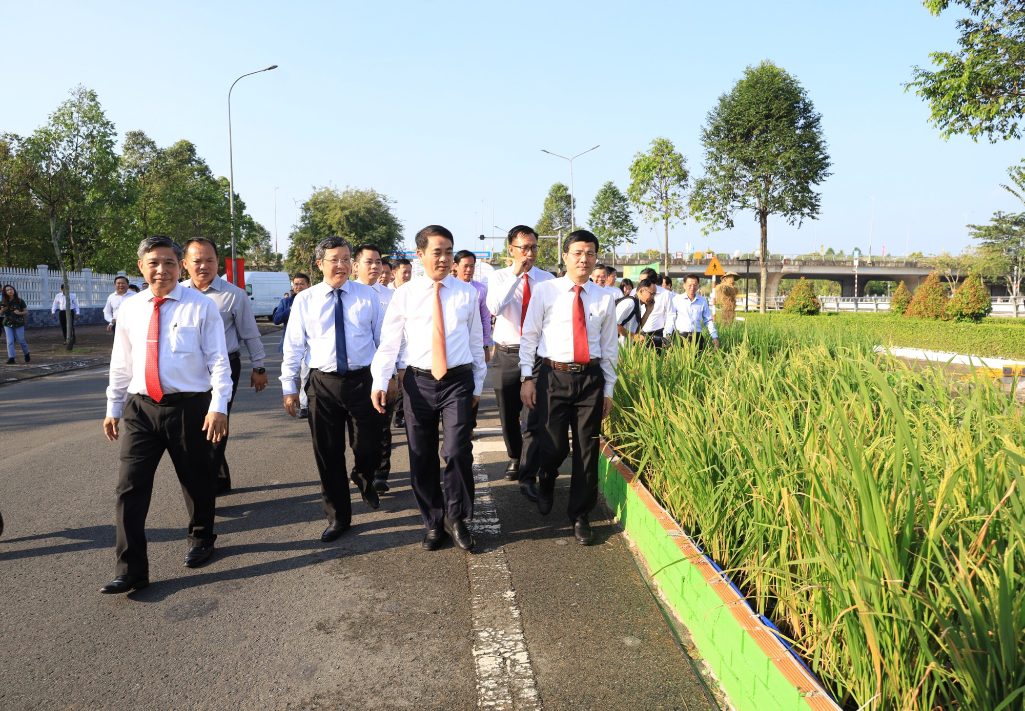 Hậu Giang đón nhận 2 kỷ lục đặc biệt- Ảnh 8.