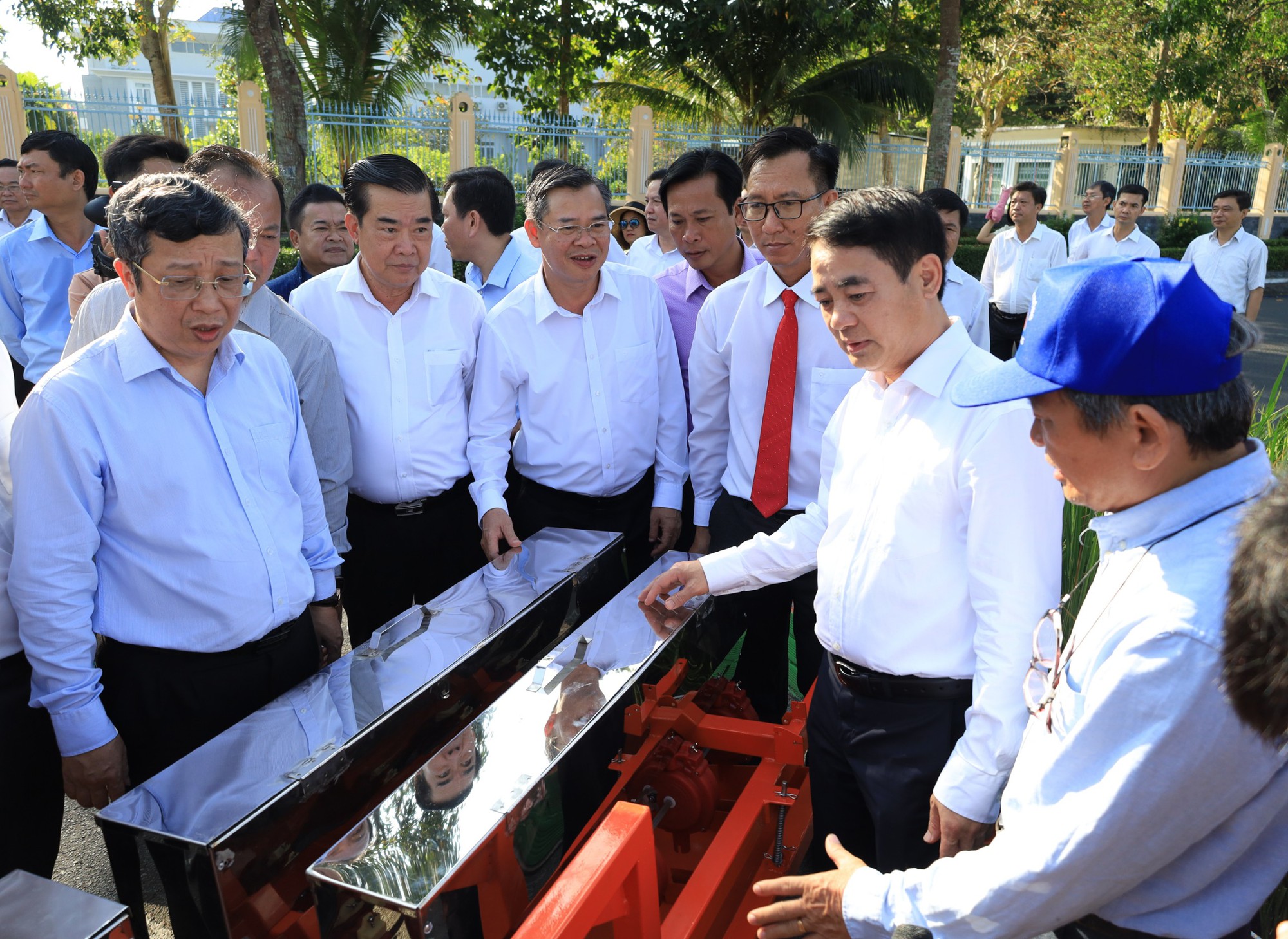 Hậu Giang đón nhận 2 kỷ lục đặc biệt- Ảnh 13.