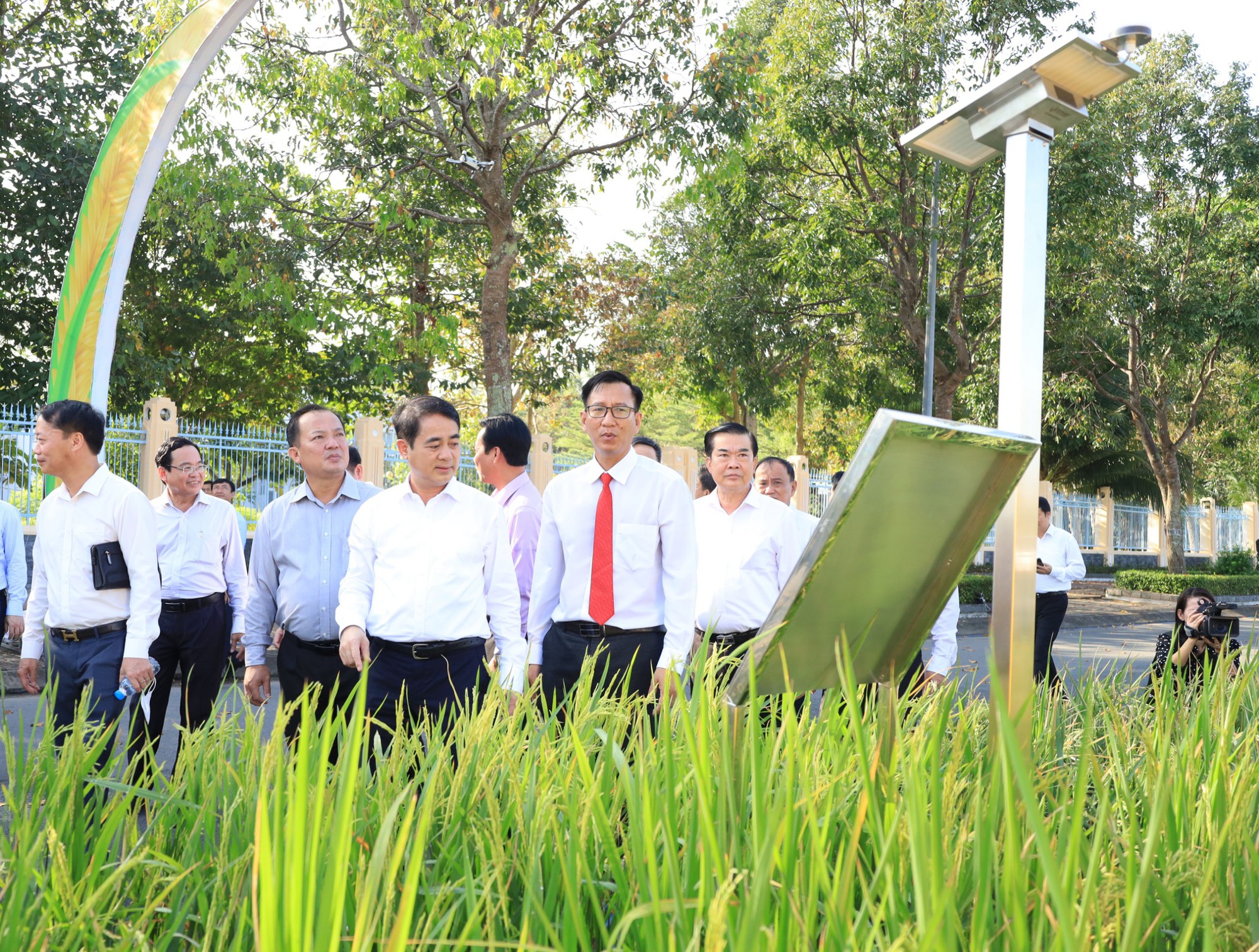 Hậu Giang đón nhận 2 kỷ lục đặc biệt- Ảnh 14.