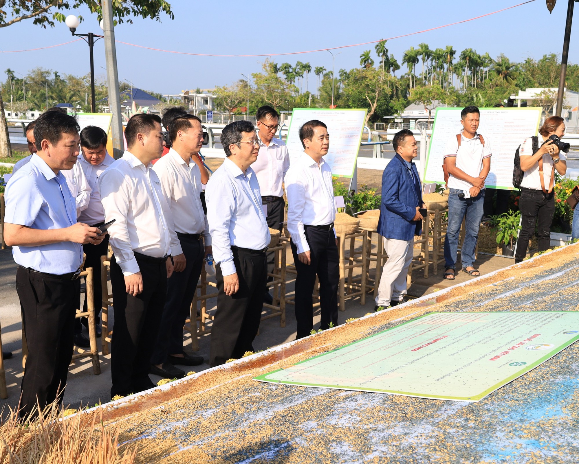 Hậu Giang đón nhận 2 kỷ lục đặc biệt- Ảnh 15.