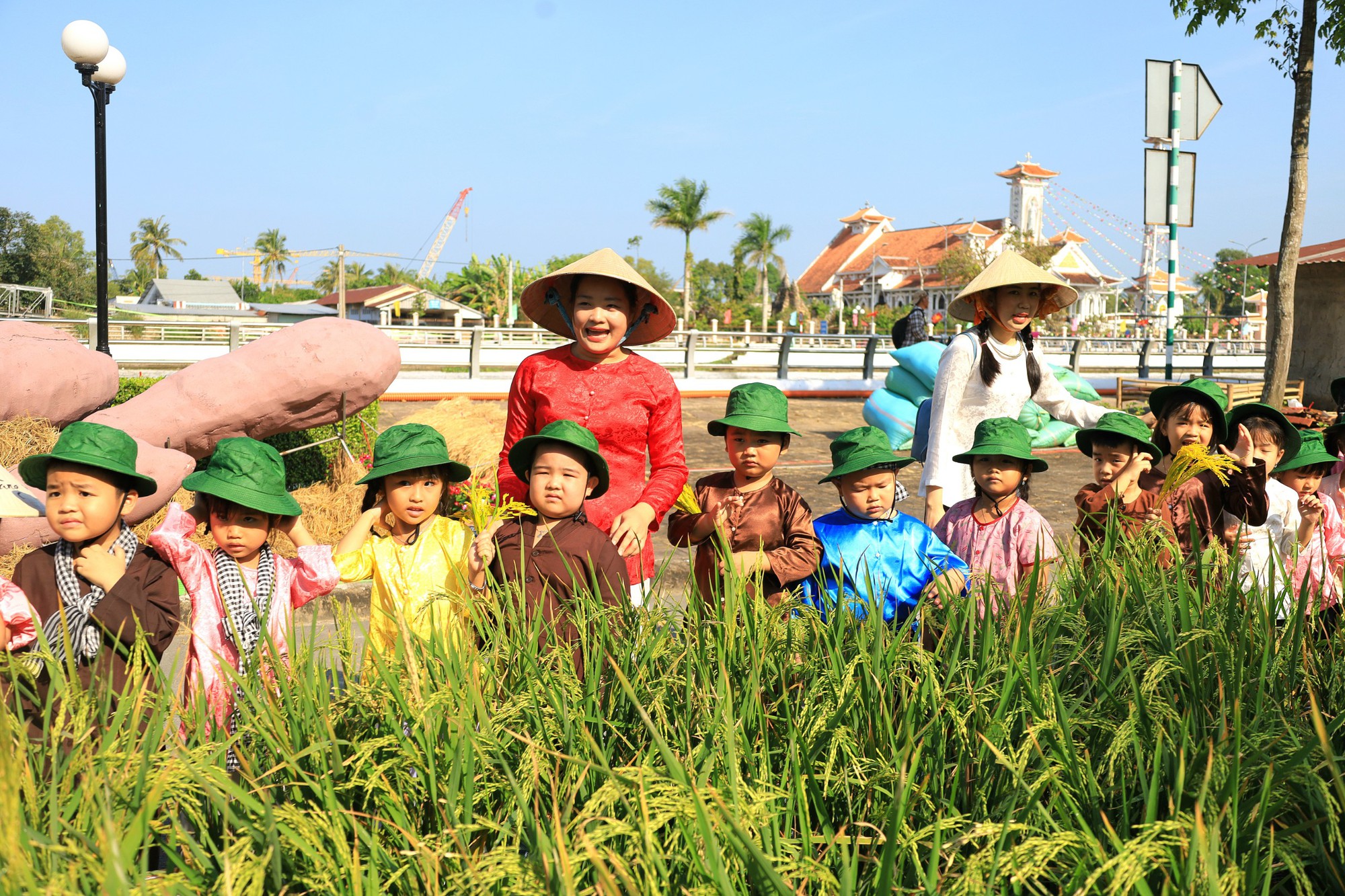 Hậu Giang đón nhận 2 kỷ lục đặc biệt- Ảnh 16.