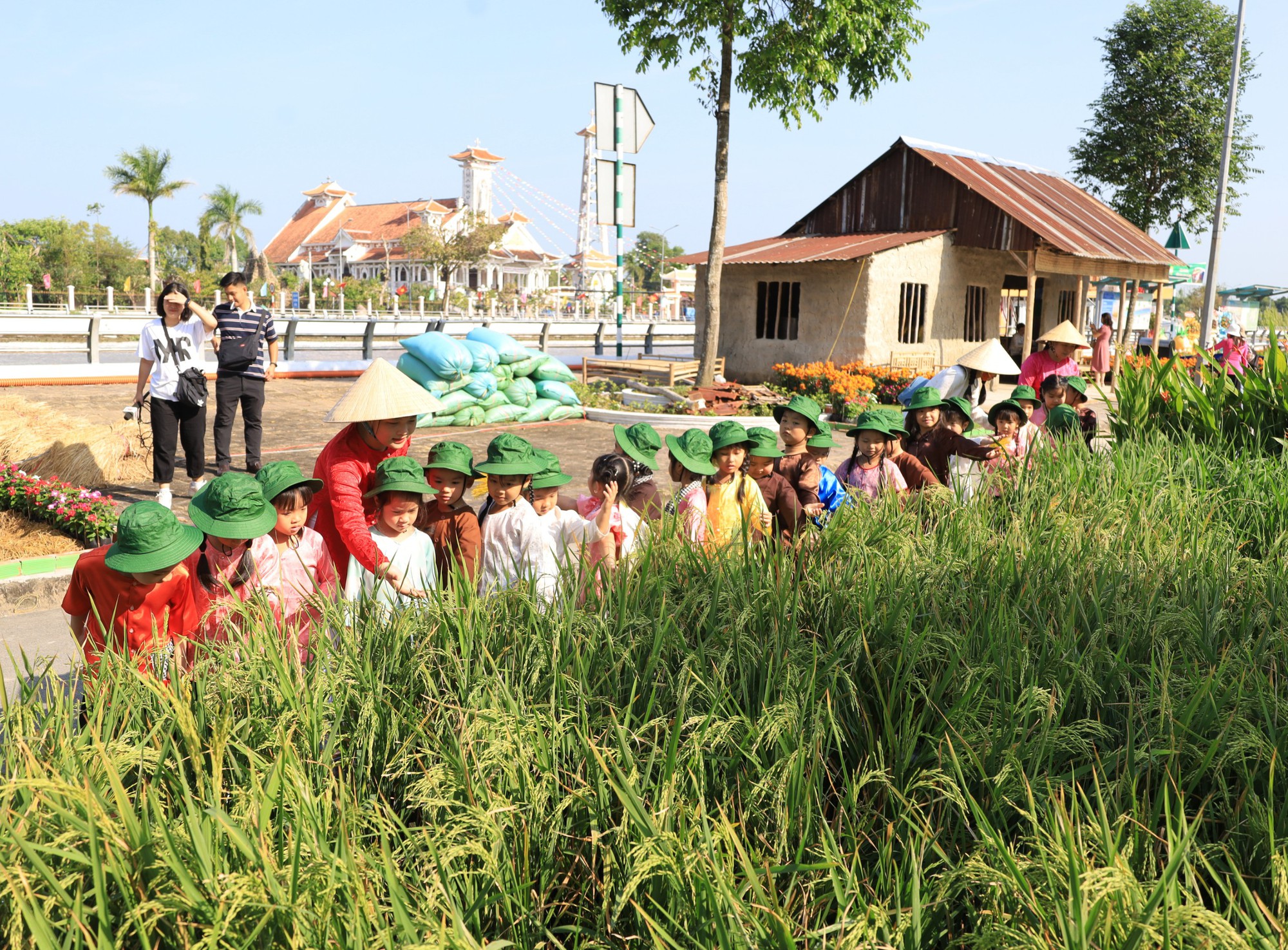Hậu Giang đón nhận 2 kỷ lục đặc biệt- Ảnh 20.