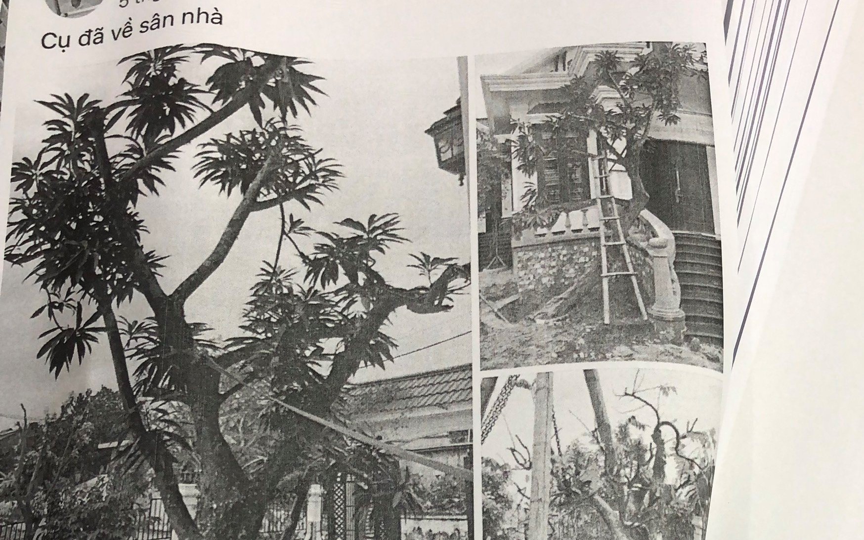 Đấu khẩu trên mạng xã hội, người đàn ông tại Đà Nẵng bị công an xử lý