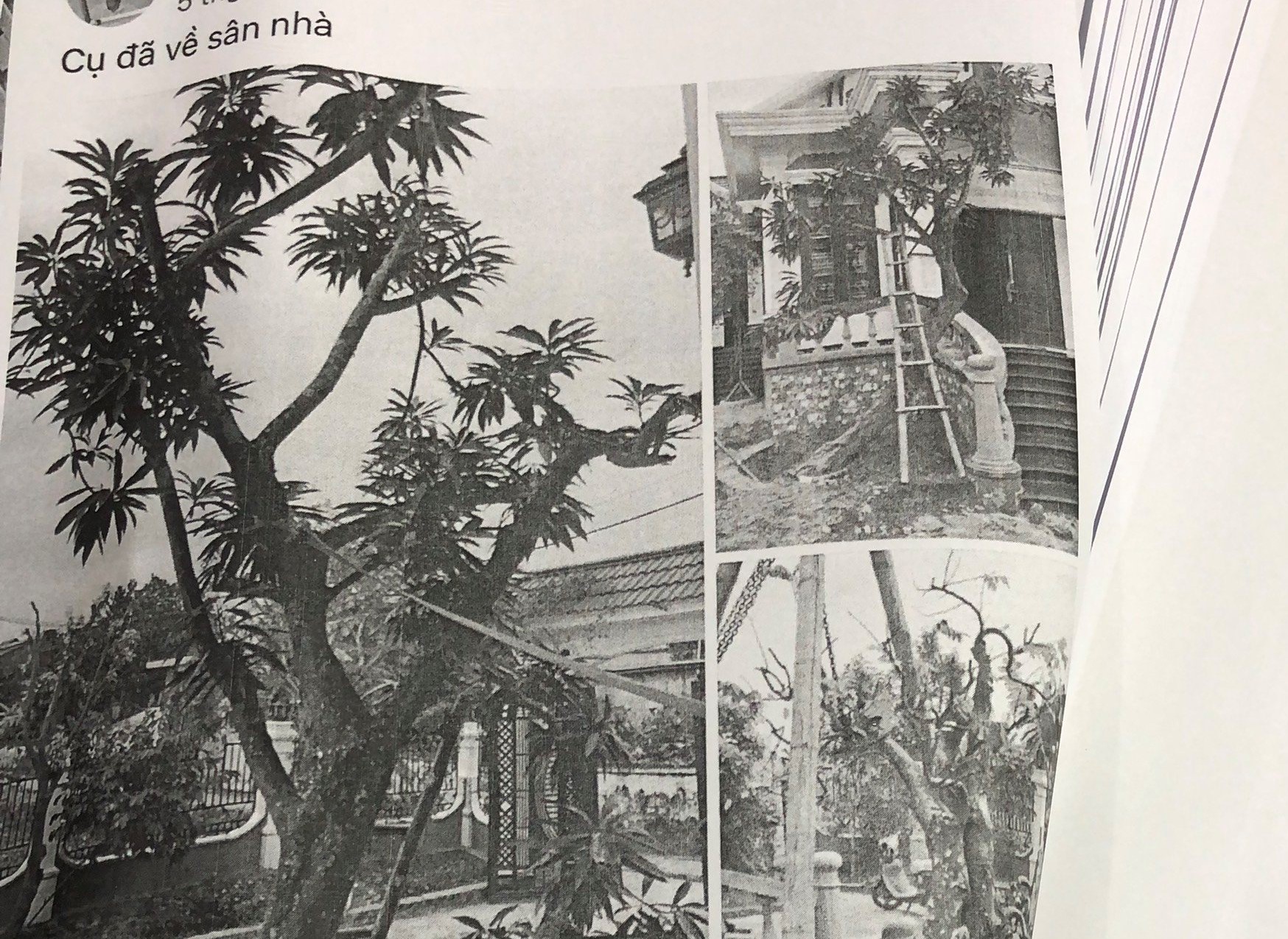 Đấu khẩu tr&ecirc;n mạng x&atilde; hội, người đ&agrave;n &ocirc;ng tại Đ&agrave; Nẵng bị c&ocirc;ng an xử l&yacute;- Ảnh 2.