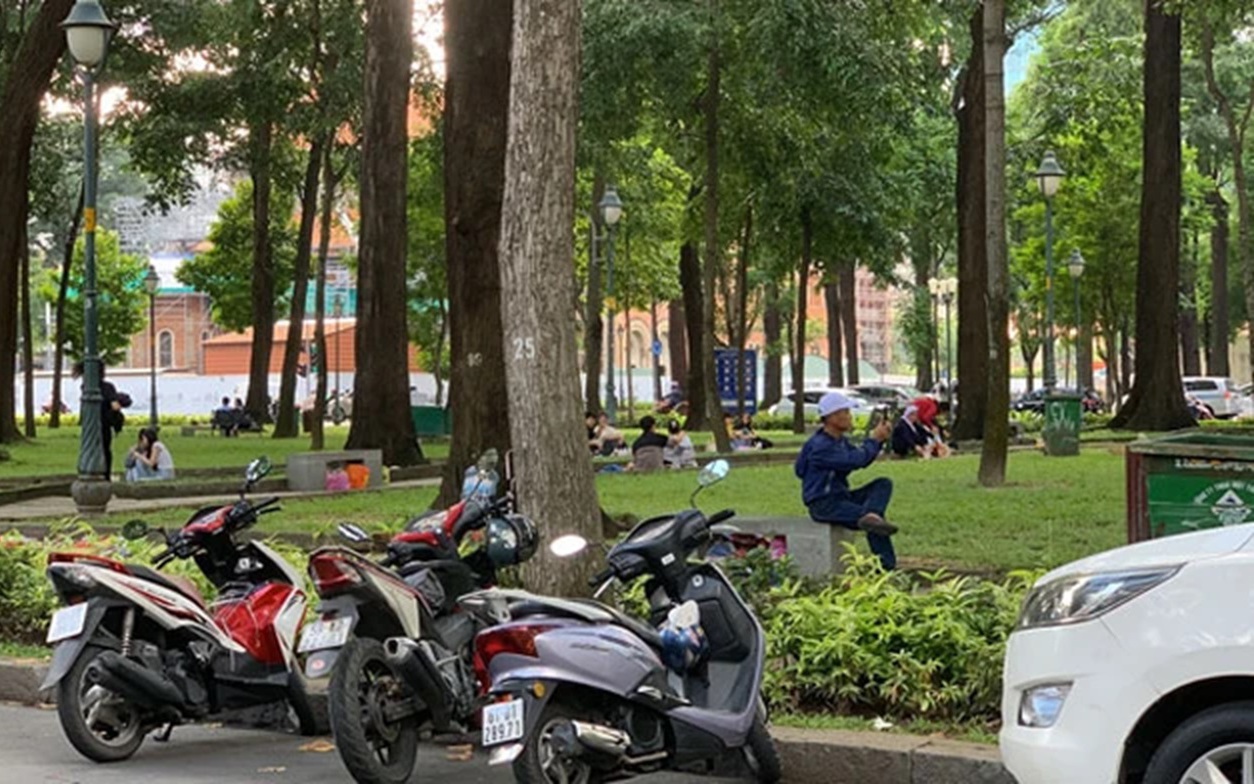 Phủ th&ecirc;m mảng xanh cho TP HCM