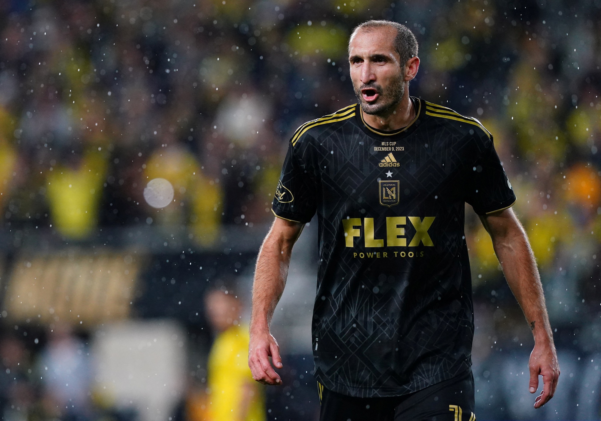 21 năm thi đấu đỉnh cao của "chiến binh" Chiellini- Ảnh 1.