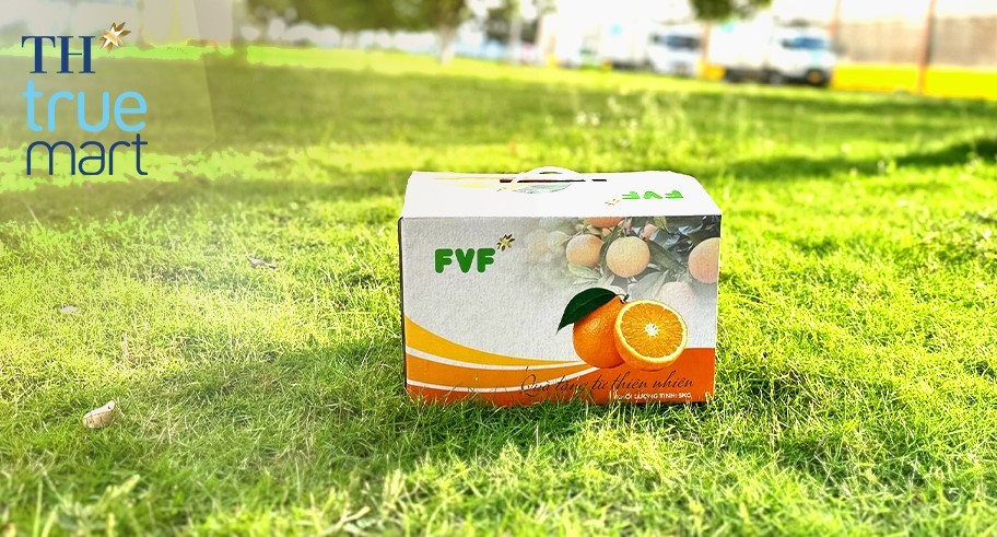 Hộp cam Nghĩa Đ&agrave;n FVF 5 kg được sơ chế, ph&acirc;n loại, kiểm so&aacute;t chất lượng v&agrave; đ&oacute;ng g&oacute;i theo quy c&aacute;ch hiện đại, lịch sự v&agrave; th&acirc;n thiện với m&ocirc;i trường