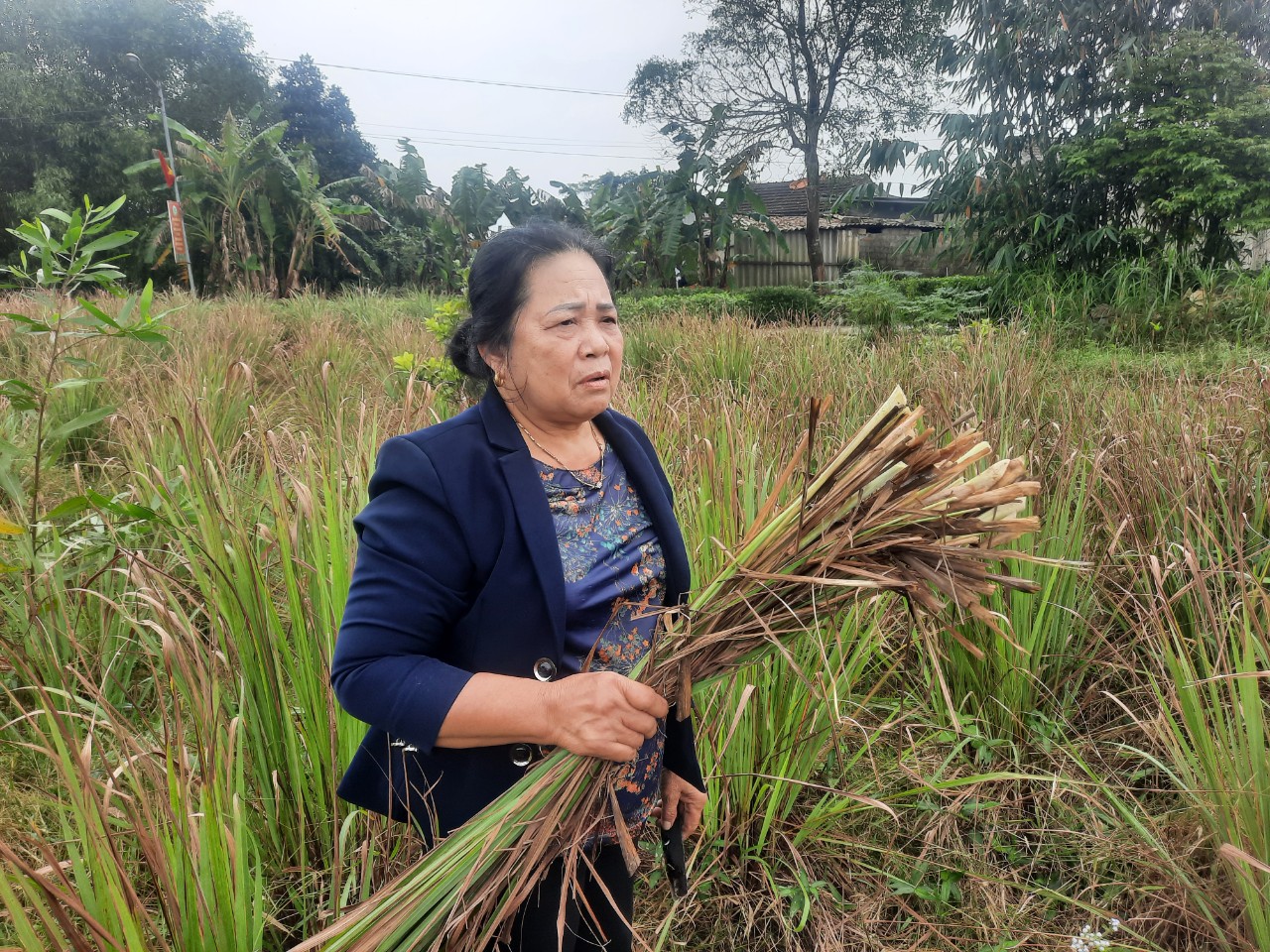 Doanh nghiệp "qu&ecirc;n lời", h&agrave;ng trăm hộ d&acirc;n thiệt đơn, thiệt k&eacute;p- Ảnh 1.