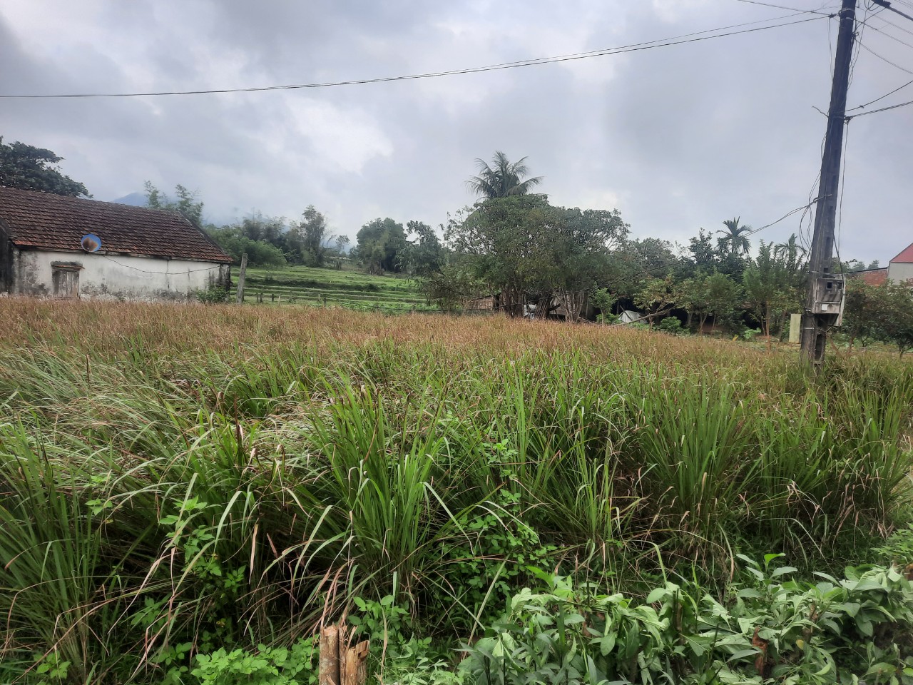 Doanh nghiệp "qu&ecirc;n lời", h&agrave;ng trăm hộ d&acirc;n thiệt đơn, thiệt k&eacute;p- Ảnh 3.