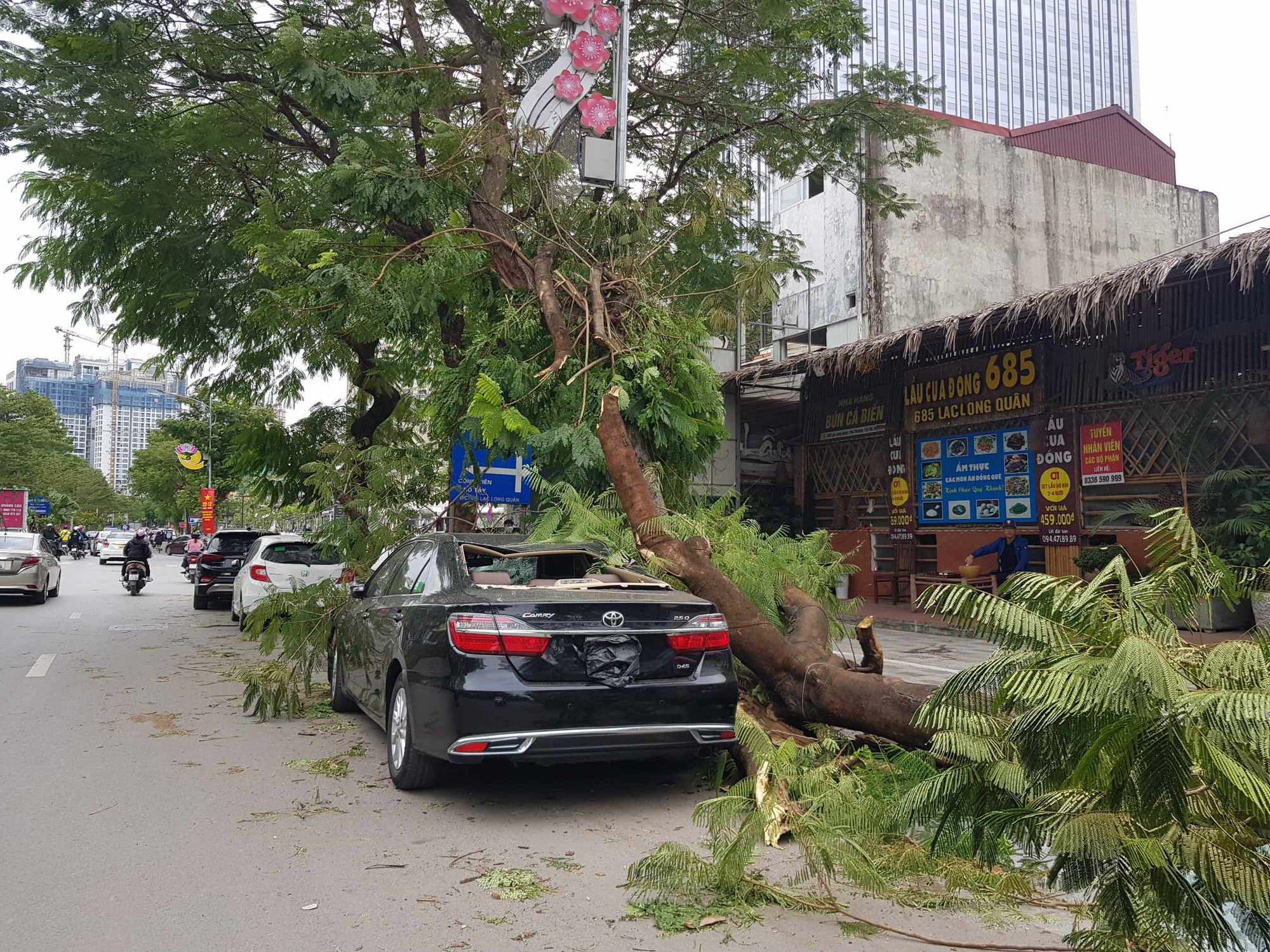 Gi&oacute; m&ugrave;a đ&ocirc;ng bắc mạnh l&agrave;m c&acirc;y g&atilde;y đổ đ&egrave; bẹp &ocirc;t&ocirc; Camry 2.5Q- Ảnh 2.