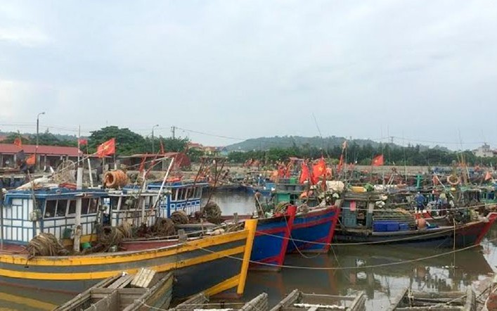 Ngư dân lo tàu nằm bờ vì hoạt động đăng kiểm tàu cá tạm dừng