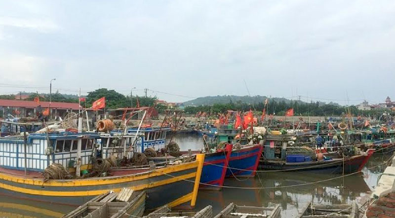 Ngư d&acirc;n khốn khổ v&igrave; hoạt động đăng kiểm t&agrave;u c&aacute; tạm dừng- Ảnh 1.