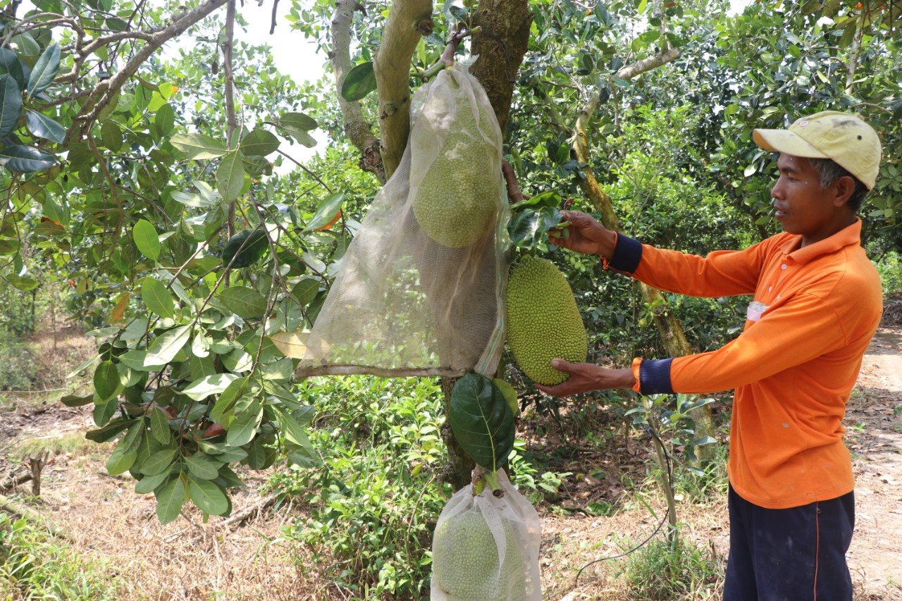 S&oacute;c Trăng: Tập trung ch&iacute;nh s&aacute;ch giảm ngh&egrave;o, chăm lo đồng b&agrave;o d&acirc;n tộc thiểu số- Ảnh 1.