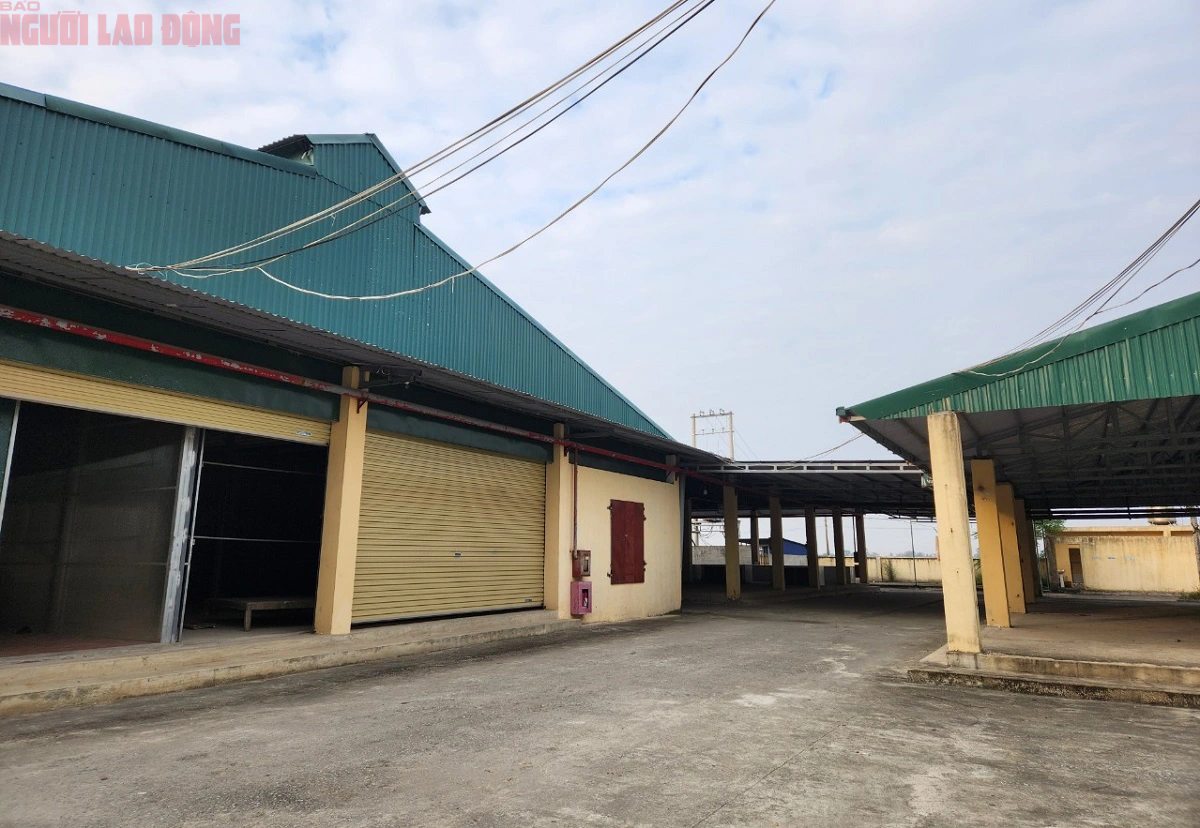 Chợ 20 tỉ đồng bỏ không, dân tràn ra đường buôn bán- Ảnh 1.