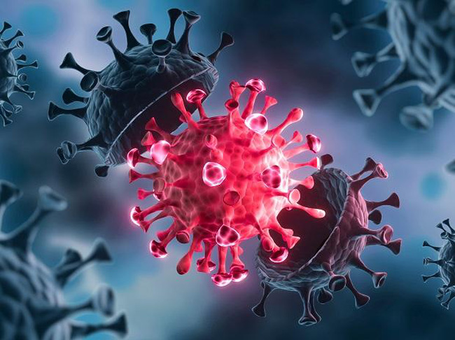 Bộ Y tế n&oacute;i g&igrave; về biến thể JN.1 của virus SARS-CoV-2?- Ảnh 1.
