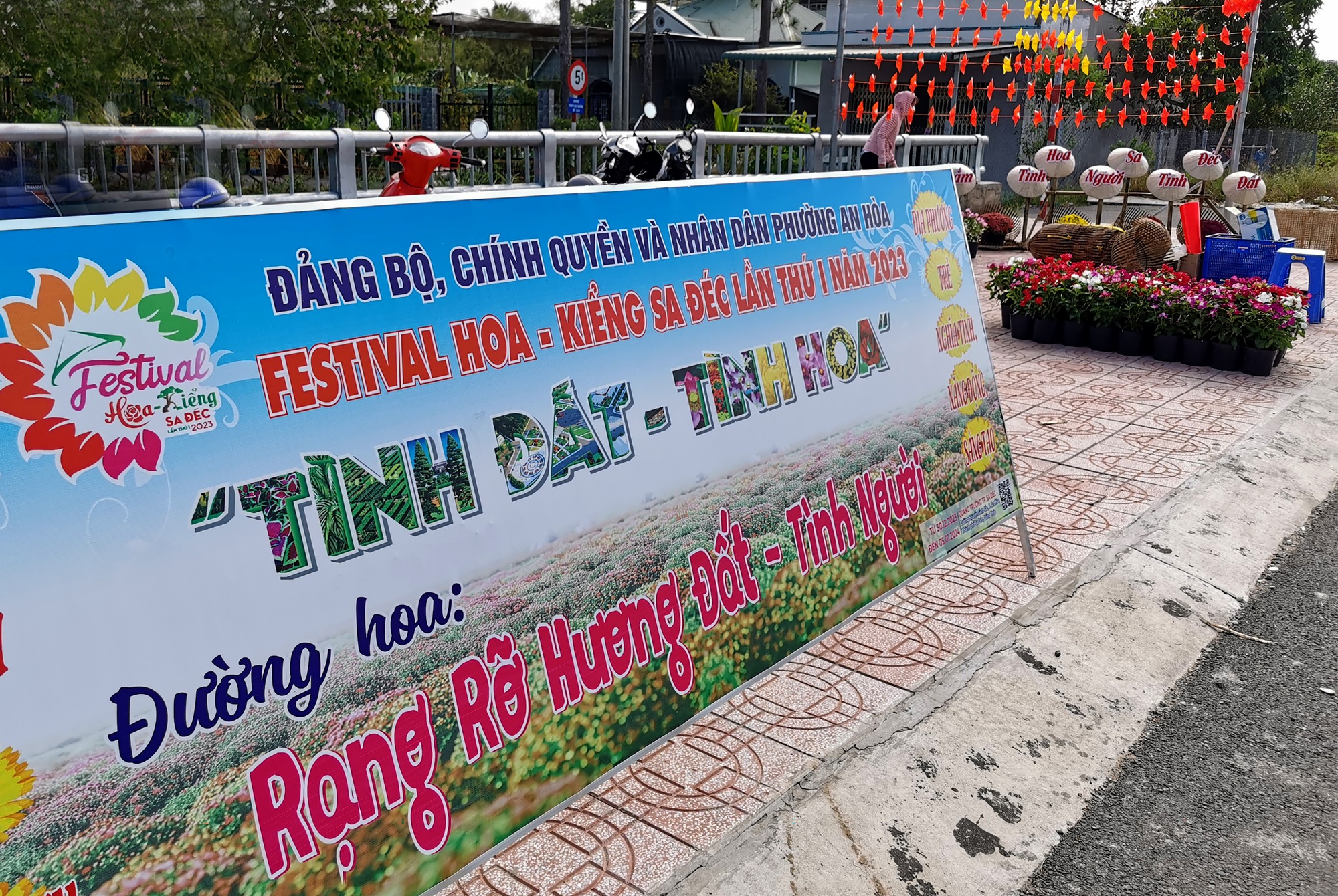 Rực rỡ sắc m&agrave;u tại l&agrave;ng hoa lớn nhất miền T&acirc;y- Ảnh 1.