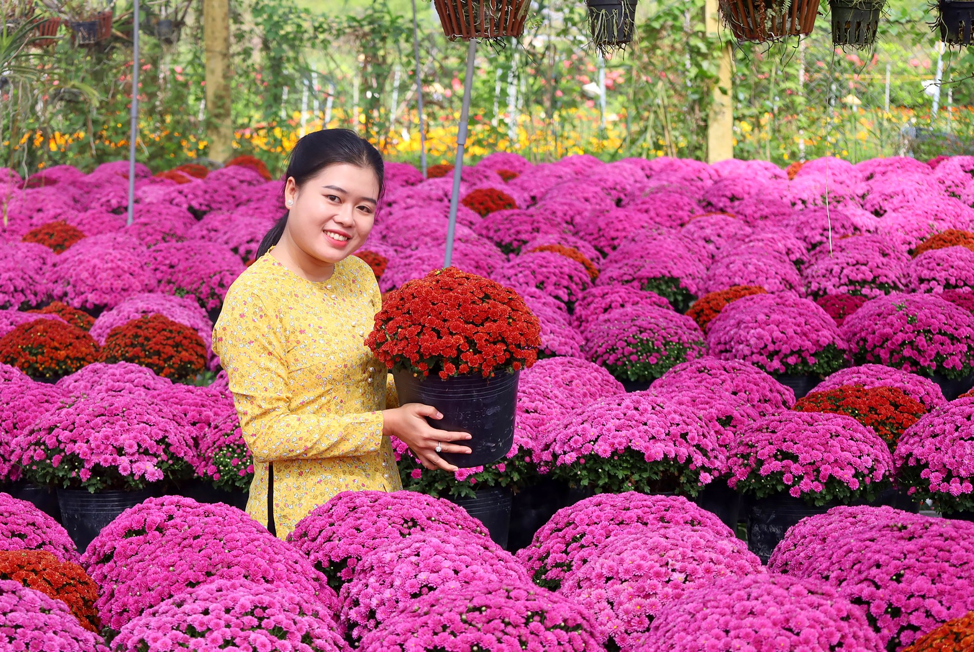 Rực rỡ sắc m&agrave;u tại l&agrave;ng hoa lớn nhất miền T&acirc;y- Ảnh 7.