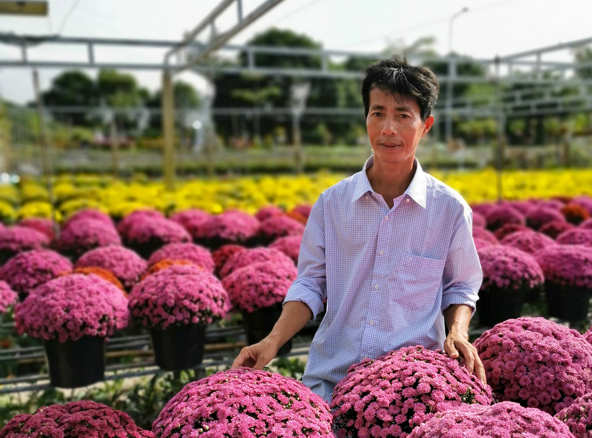 Rực rỡ sắc m&agrave;u tại l&agrave;ng hoa lớn nhất miền T&acirc;y- Ảnh 3.