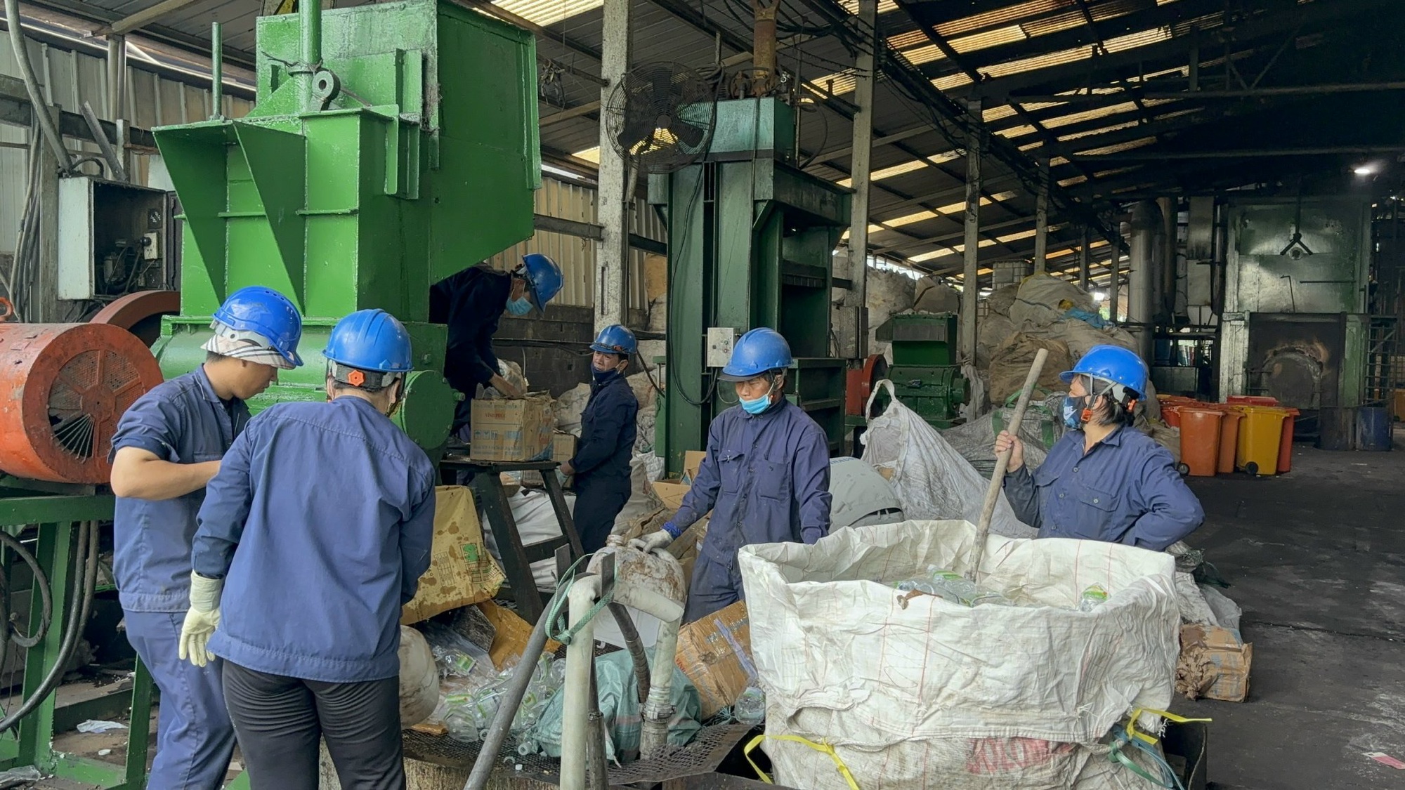 TP HCM: Ph&aacute;t hiện gần 25 tấn nội tạng động vật kh&ocirc;ng hạn sử dụng- Ảnh 5.