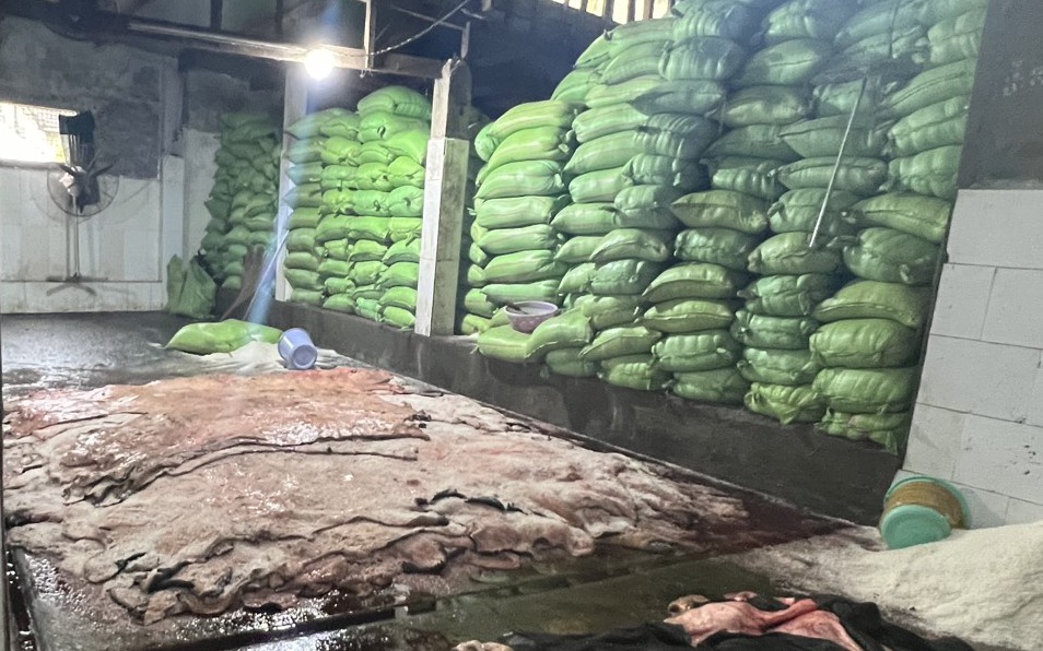 Kinh hãi 4 tấn da bò đang phân hủy, chuẩn bị tung ra thị trường