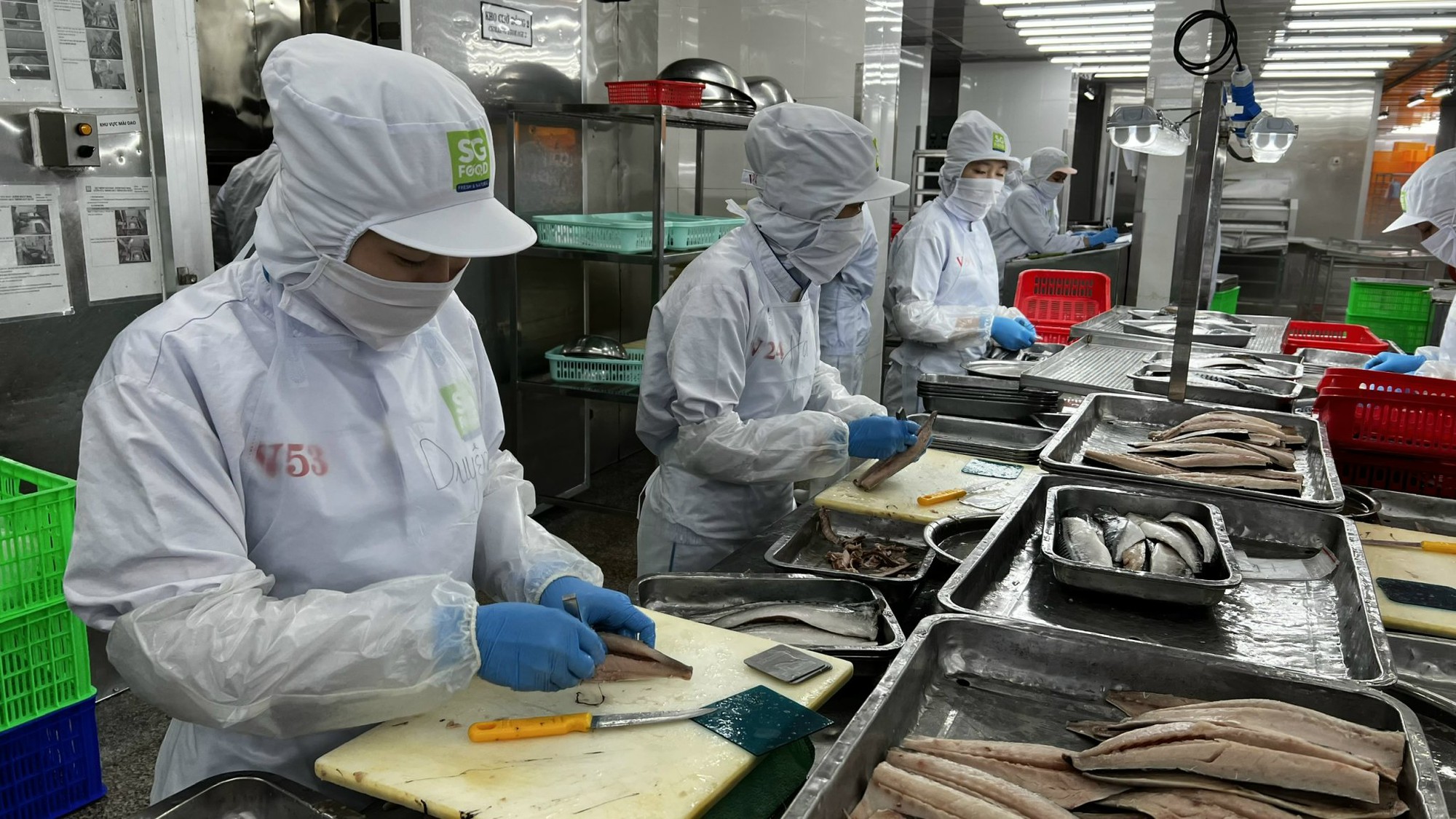 7 thay đổi về chính sách BHXH, BHYT năm 2024- Ảnh 3.