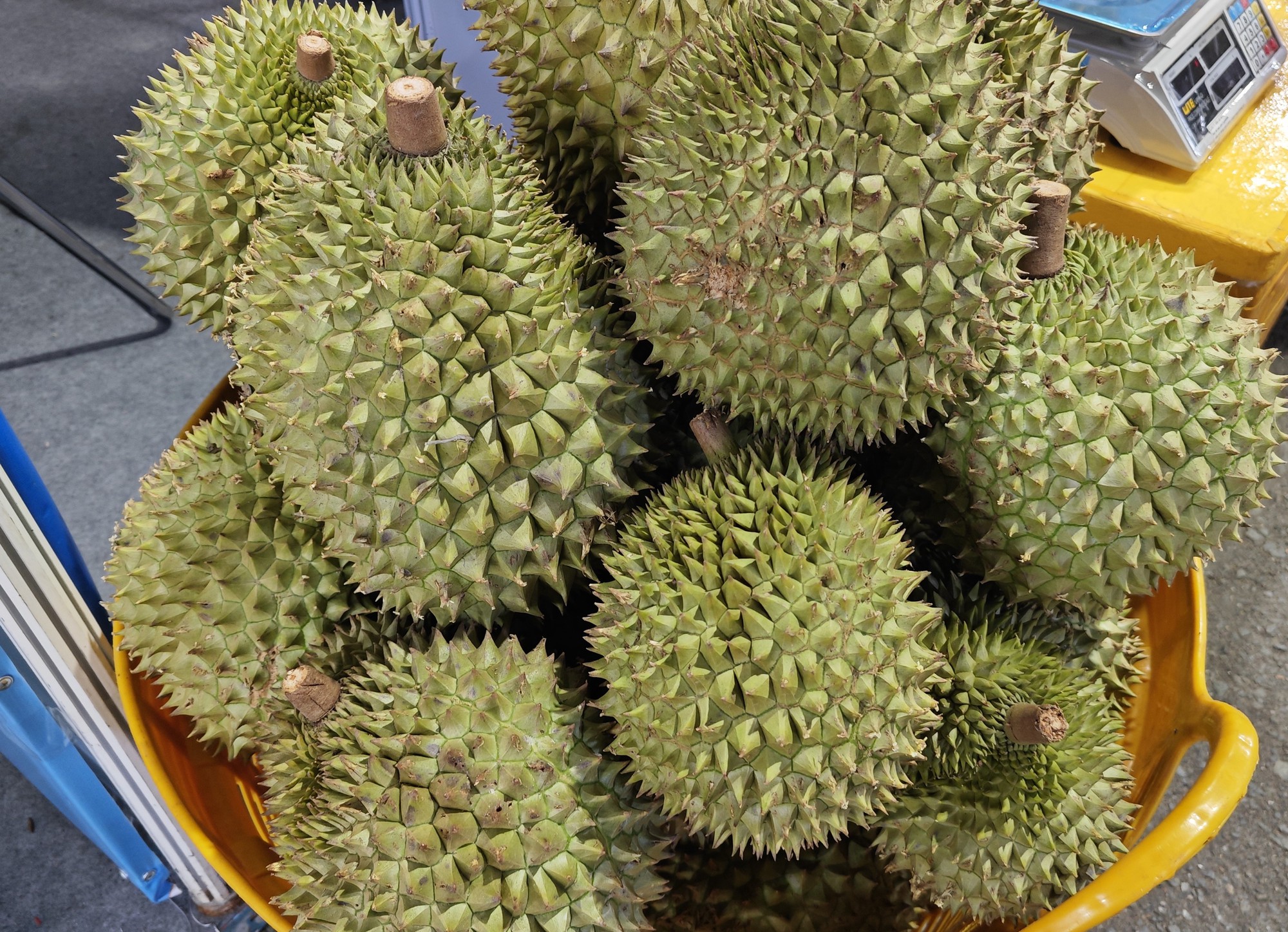 Sầu ri&ecirc;ng đ&ocirc;ng lạnh xuất khẩu sang Th&aacute;i Lan nhiều nhất- Ảnh 1.