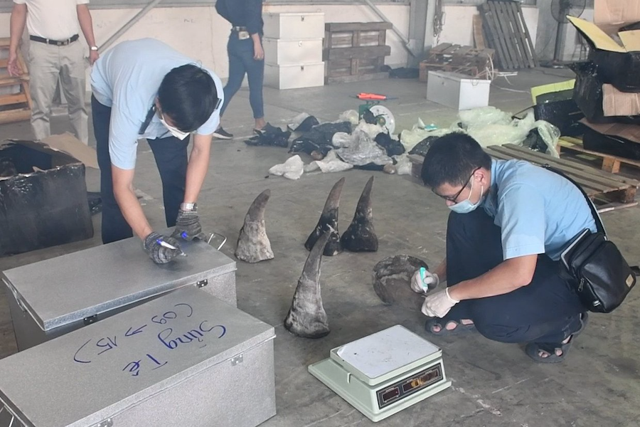 Tiêu hủy gần 10 tấn gồm ngà voi, sừng tê giác… trị giá 300 tỉ đồng ở Quảng Nam - Ảnh 6.