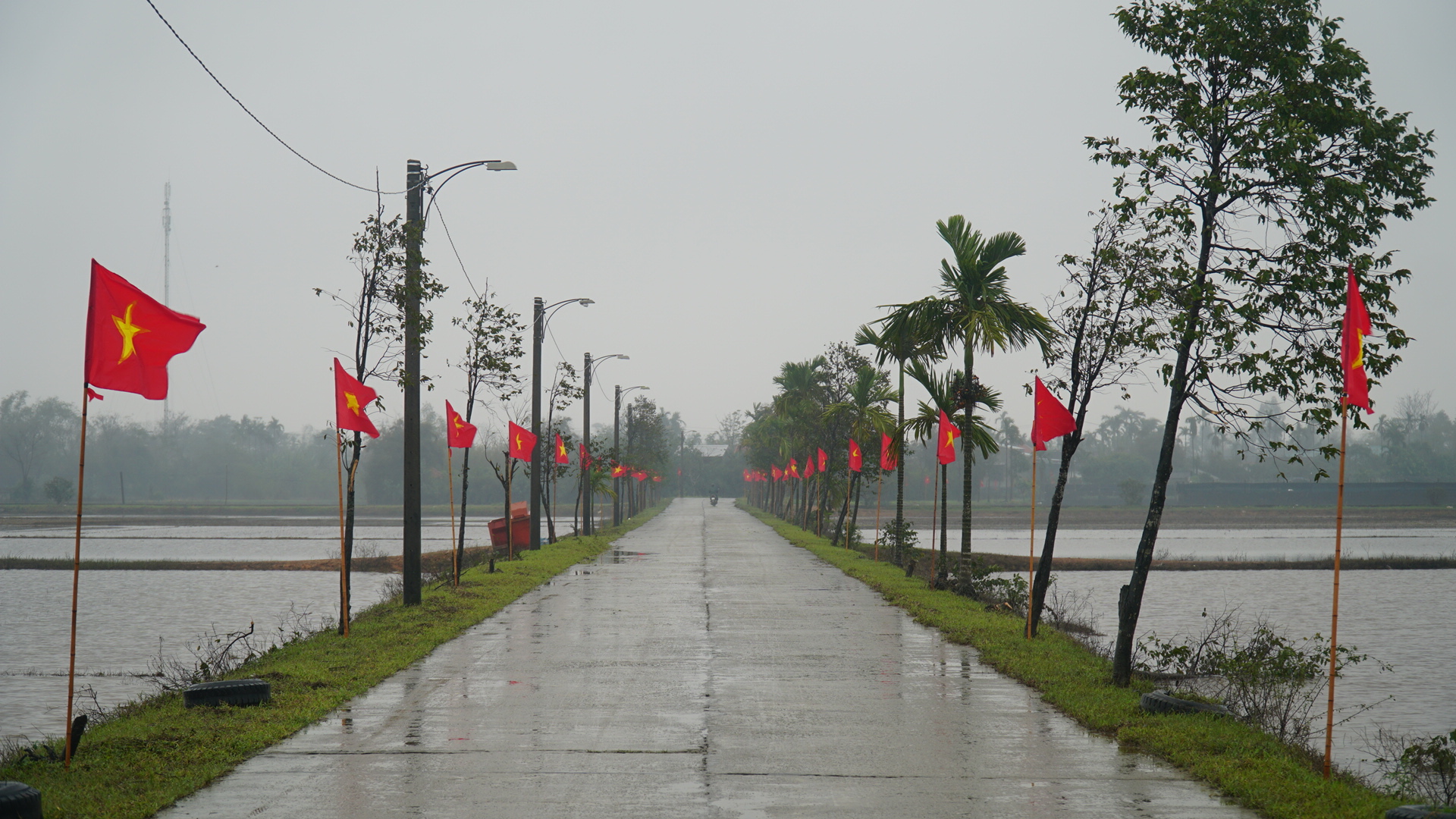 Khánh thành "Đường cờ Tổ quốc" trên quê hương Đại tướng Nguyễn Chí Thanh- Ảnh 4.
