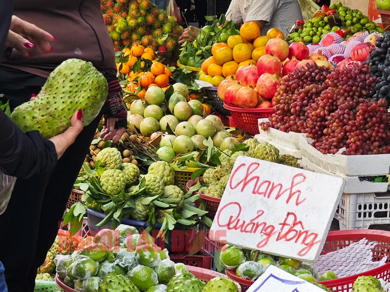 Giá chanh Quảng Đông - Trung Quốc lao dốc khi trà chanh giã tay hết "trend"- Ảnh 1.