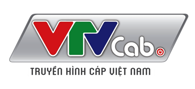 VTVcab Sport không còn là công ty con của VTVcab- Ảnh 1.