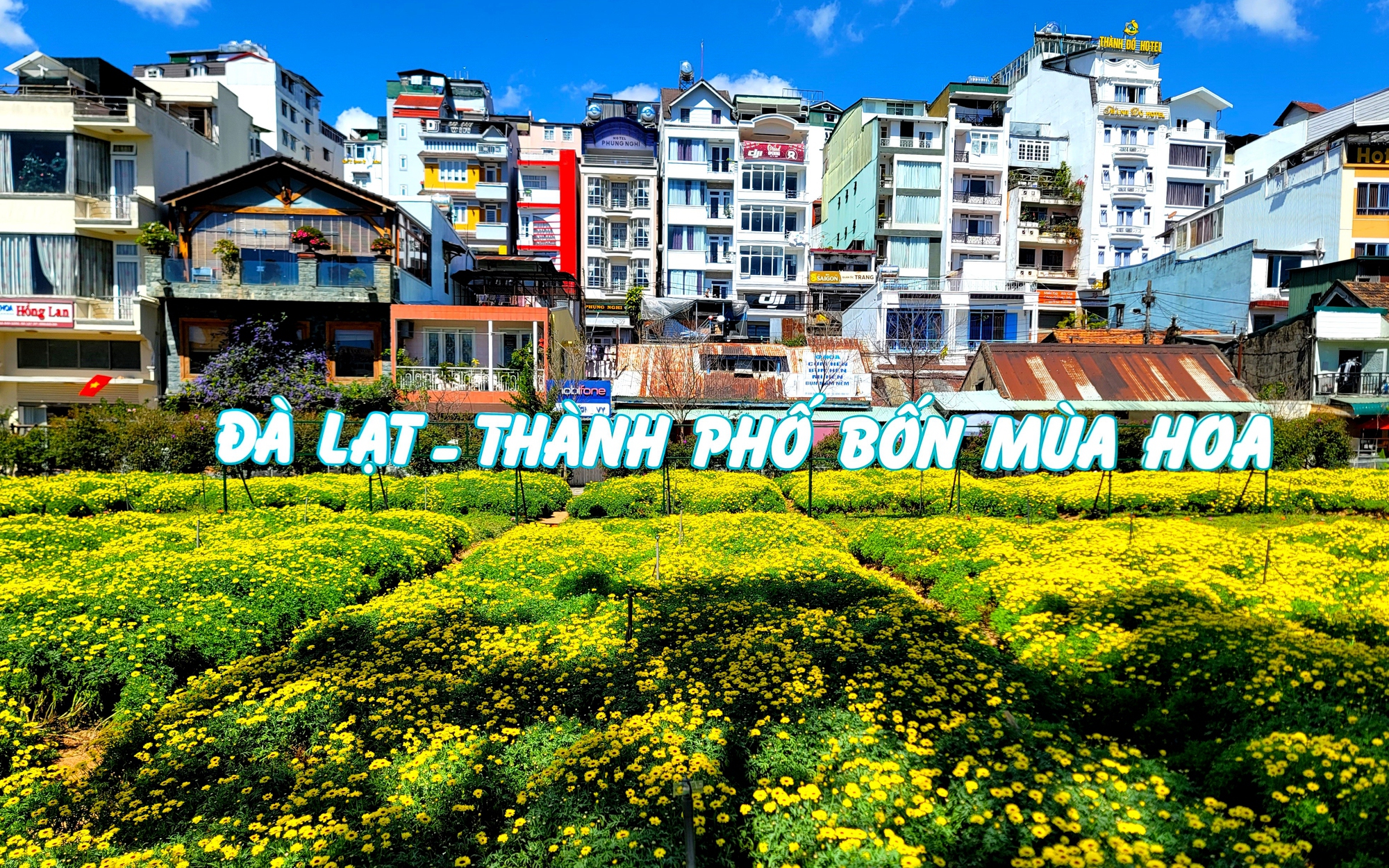 Đà Lạt rạng rỡ sắc hoa trong những ngày kỷ niệm 130 năm