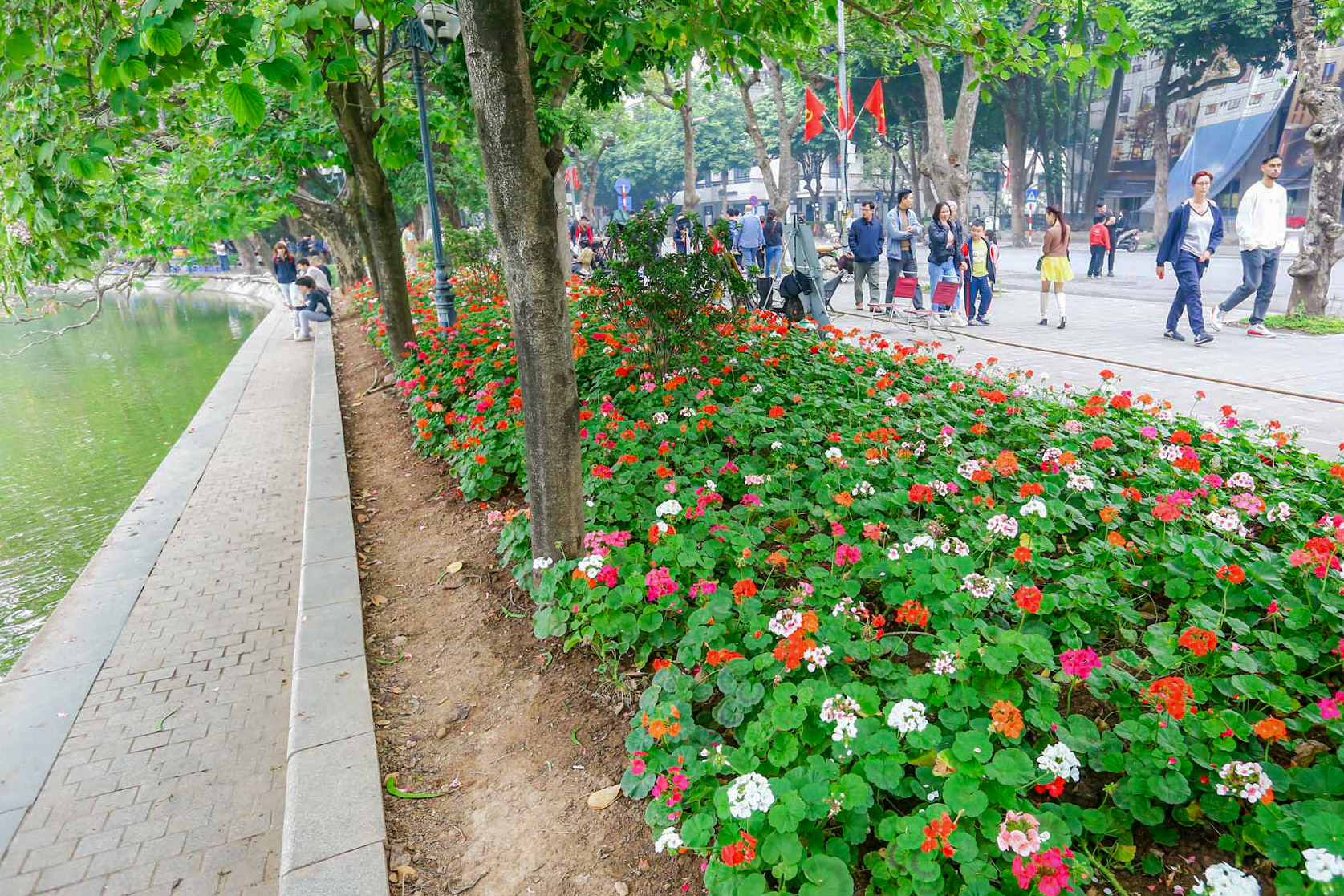 Phố phường H&agrave; Nội trang ho&agrave;ng ch&agrave;o đ&oacute;n năm mới 2024- Ảnh 3.