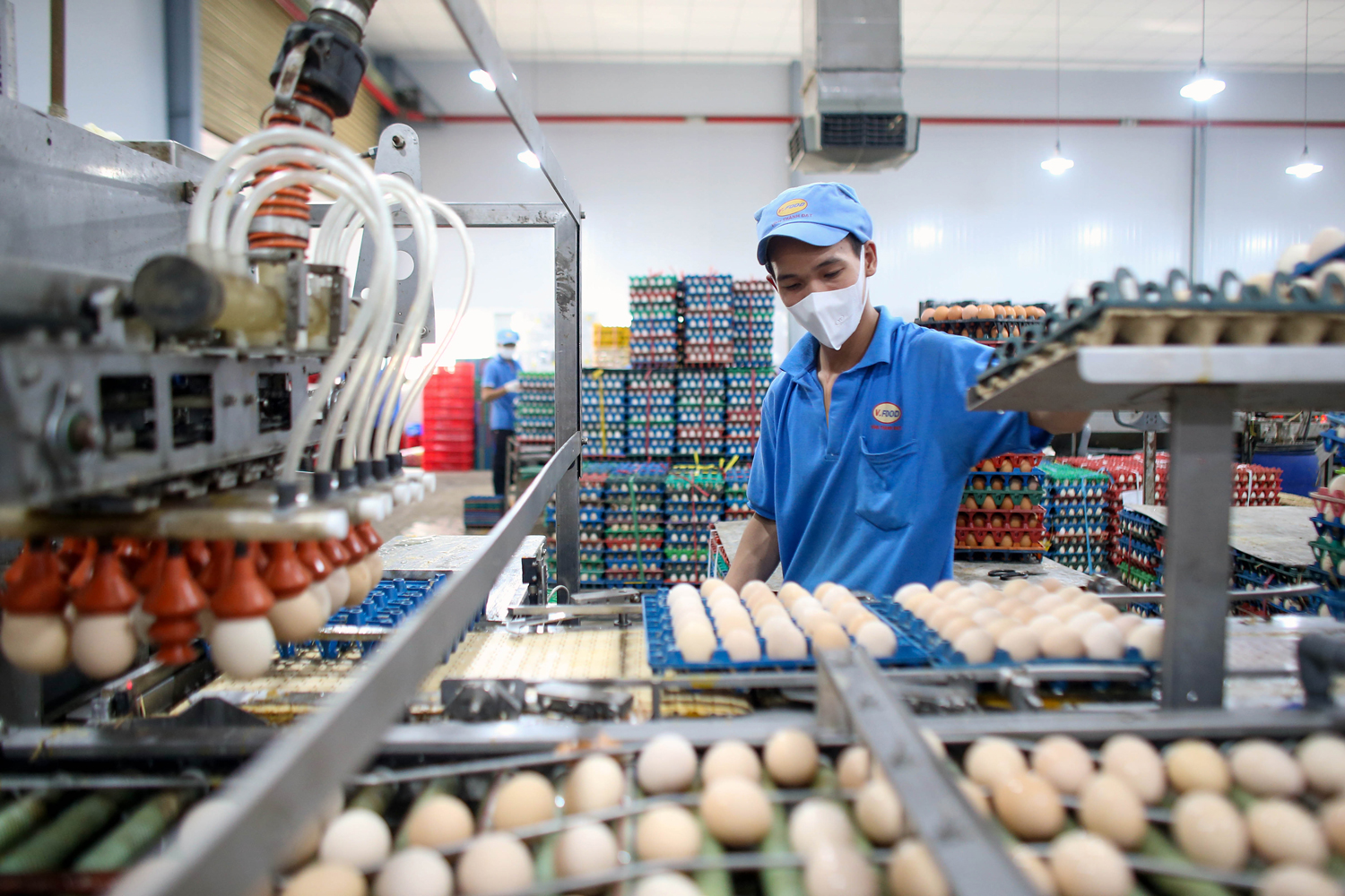 Doanh nghiệp nỗ lực kích cầu cuối năm- Ảnh 1.