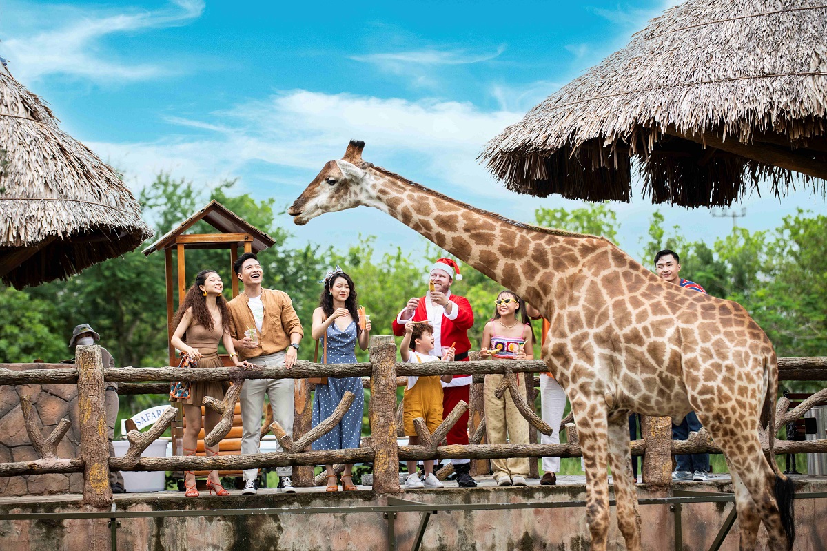 Gi&aacute;ng sinh Xanh giữa muộn lo&agrave;i hoang d&atilde; tại Nam Hội An