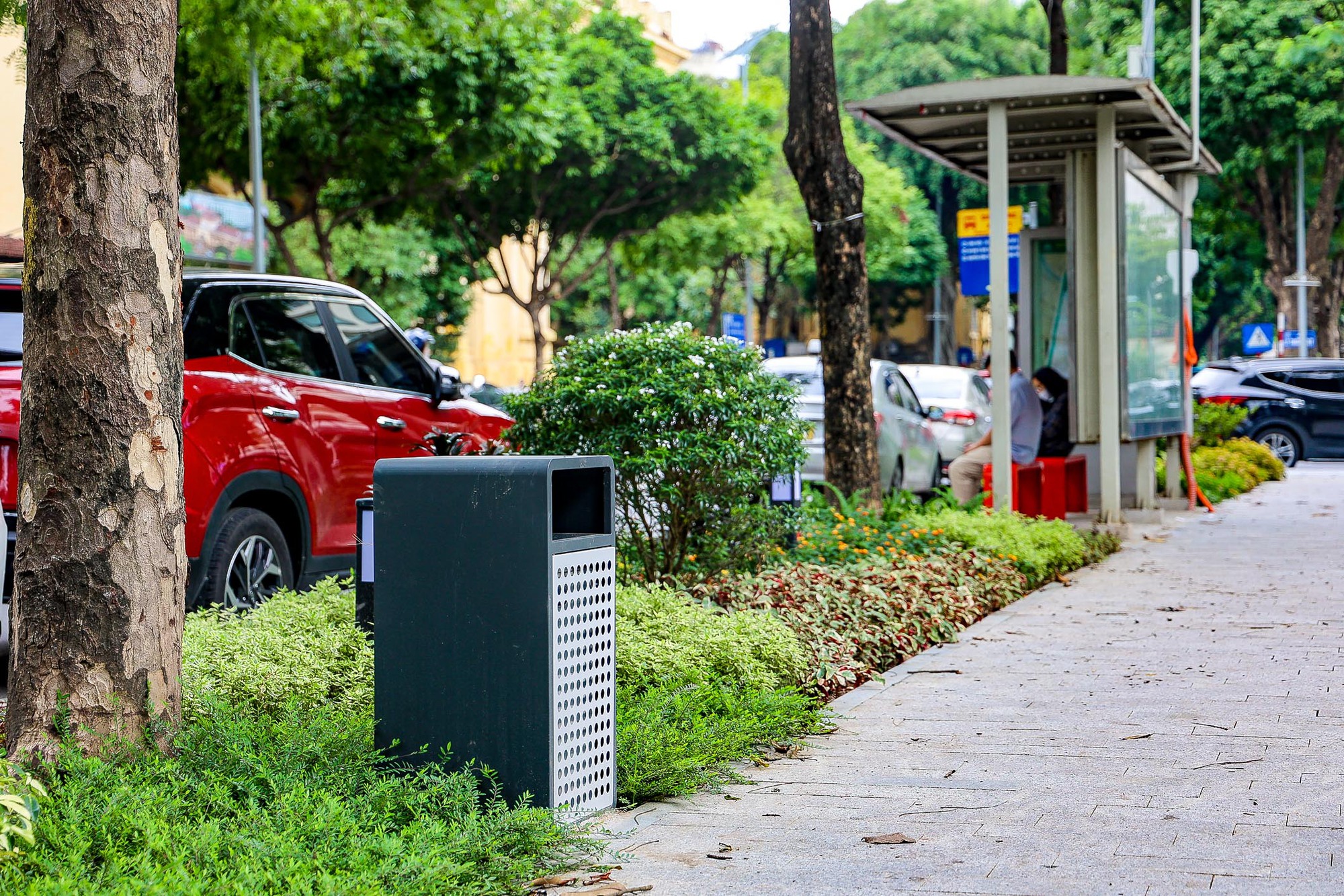 Cận cảnh vườn hoa được đầu tư 3 tỉ đồng để cải tạo- Ảnh 12.