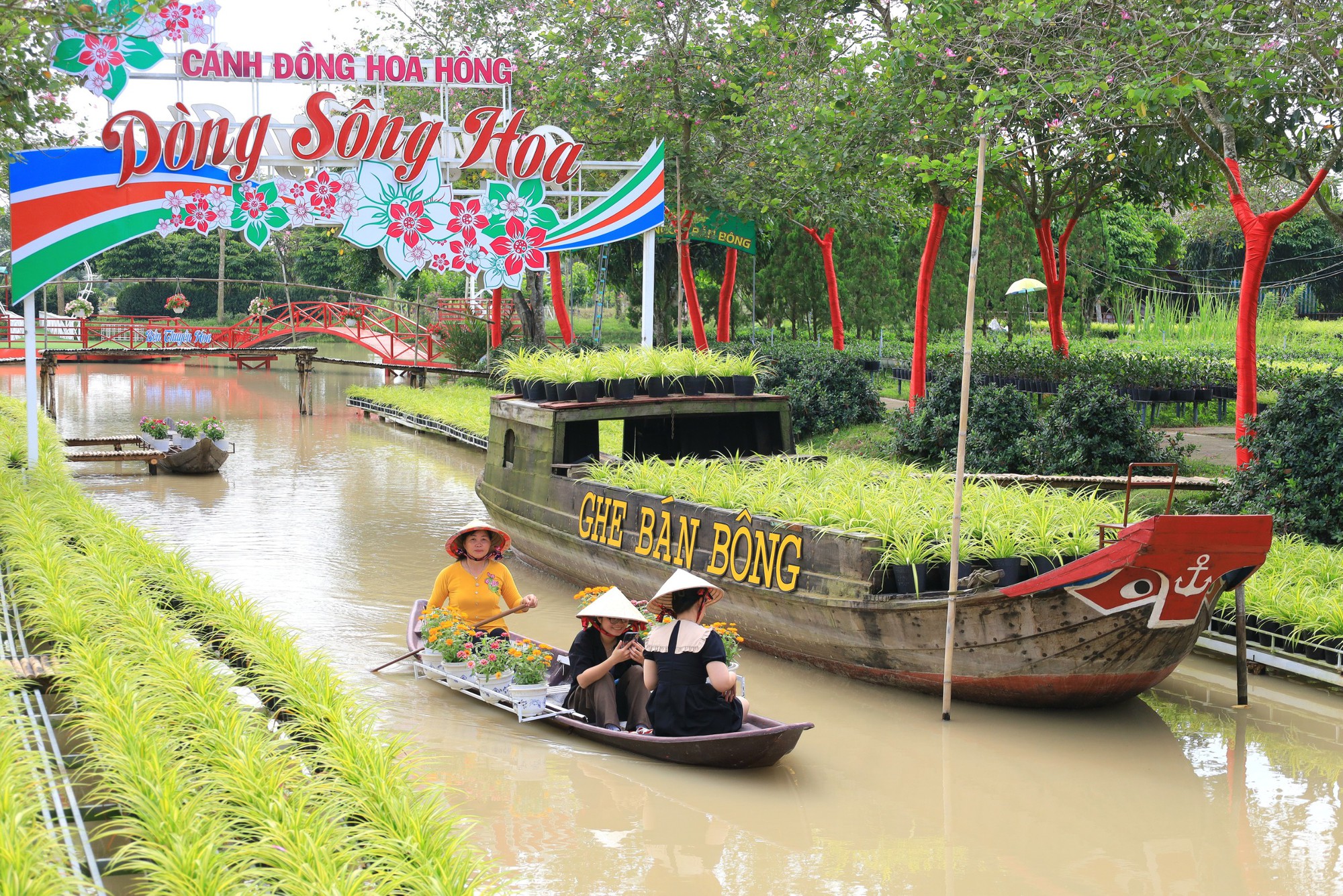 Đồng Tháp sẵn sàng cho lễ hội hoa lớn nhất miền Tây- Ảnh 5.
