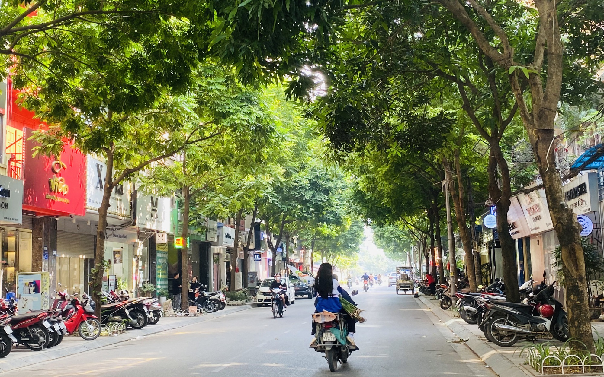 Đường phố nở hoa