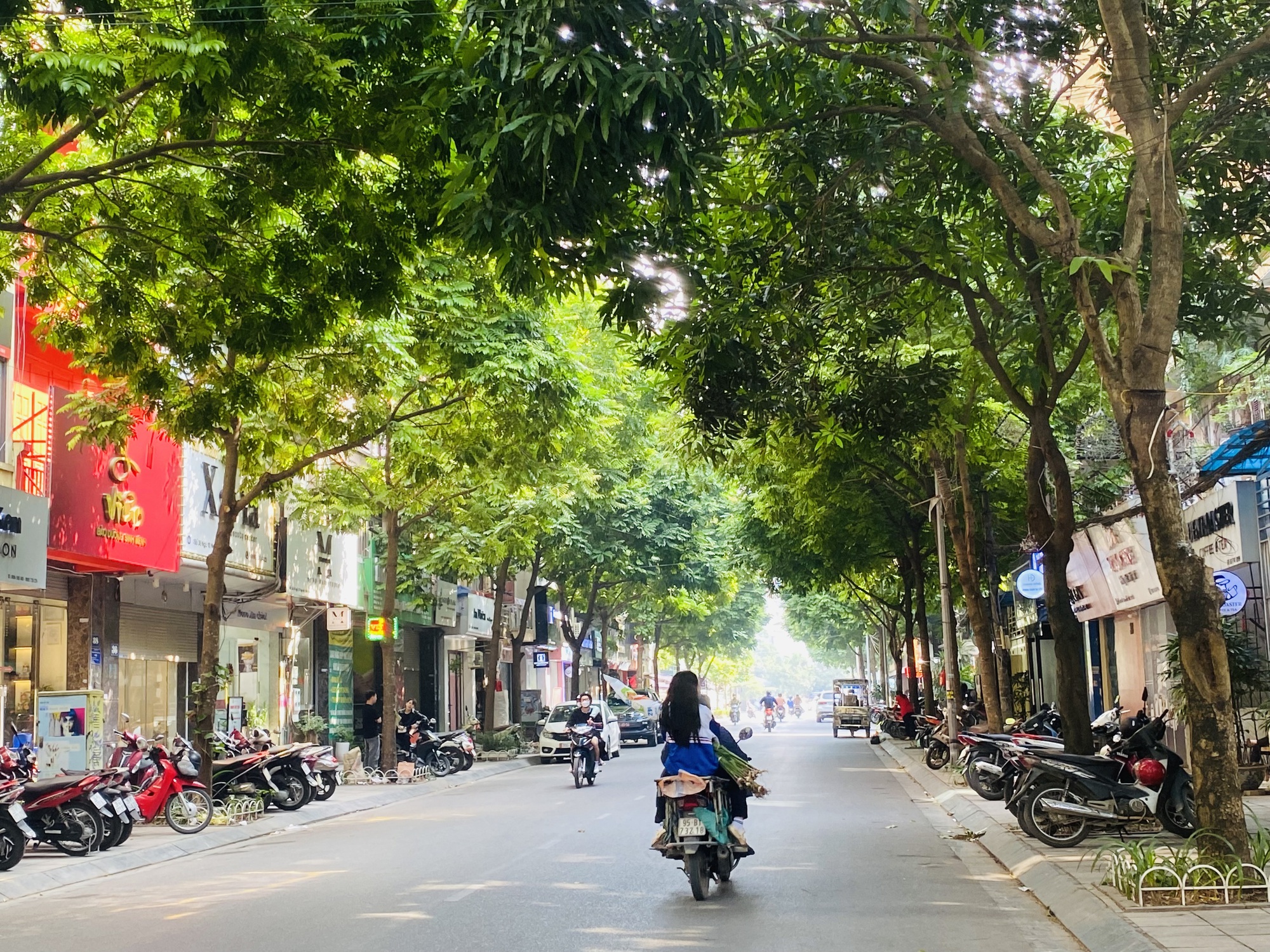 Đường phố nở hoa- Ảnh 1.